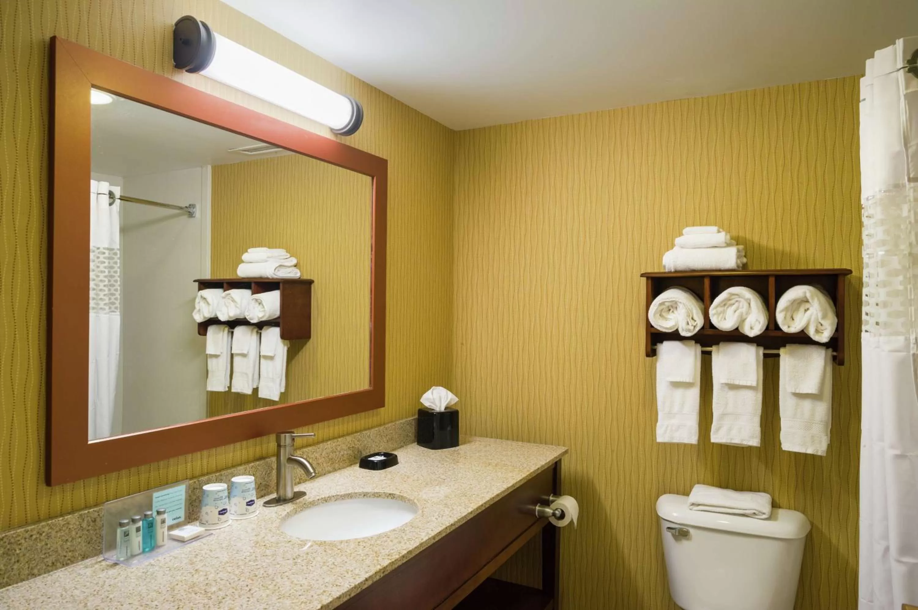 Bathroom in Hampton Inn Selinsgrove/Shamokin Dam