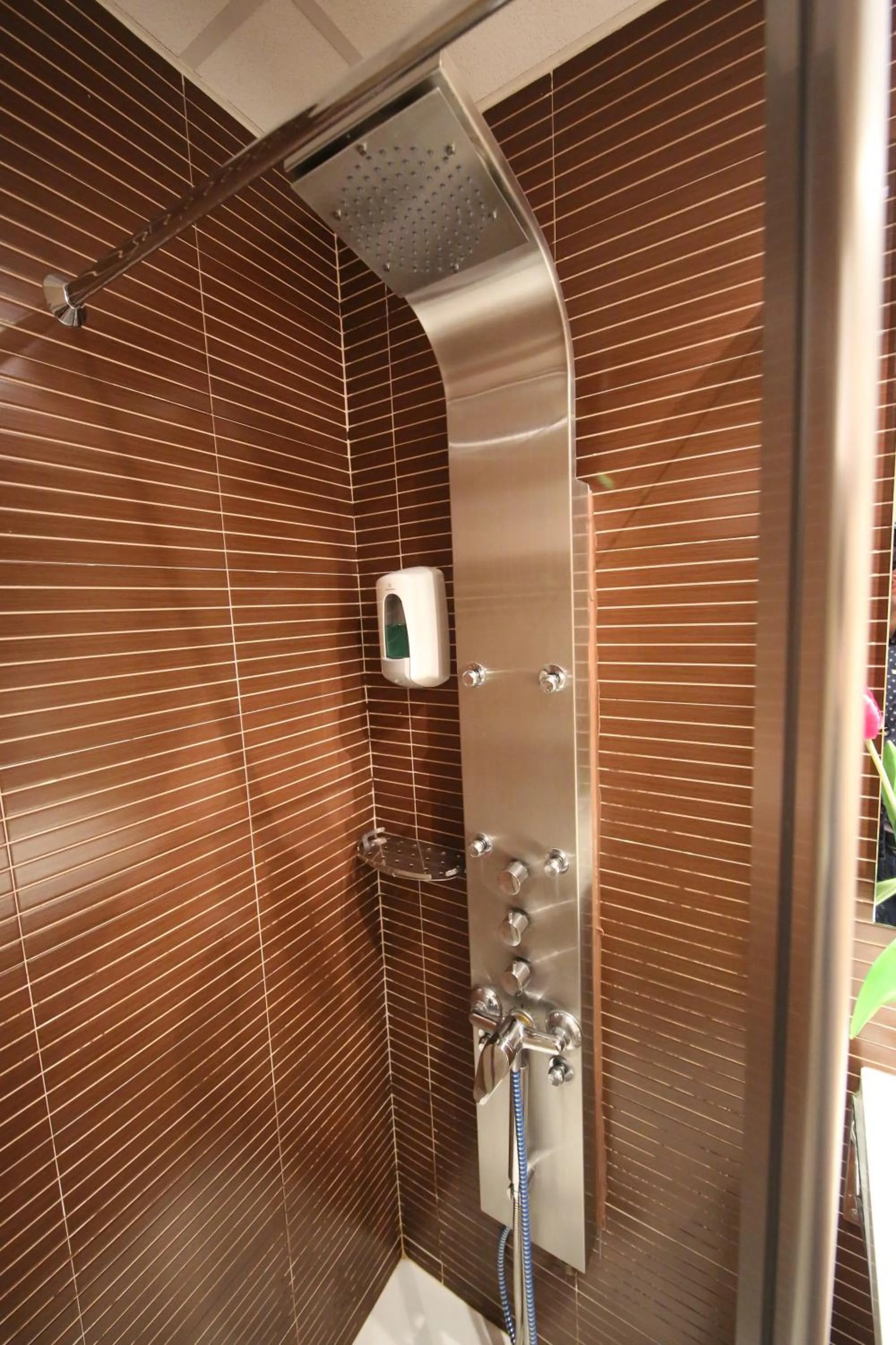 Shower in Hotel Alda Entrearcos