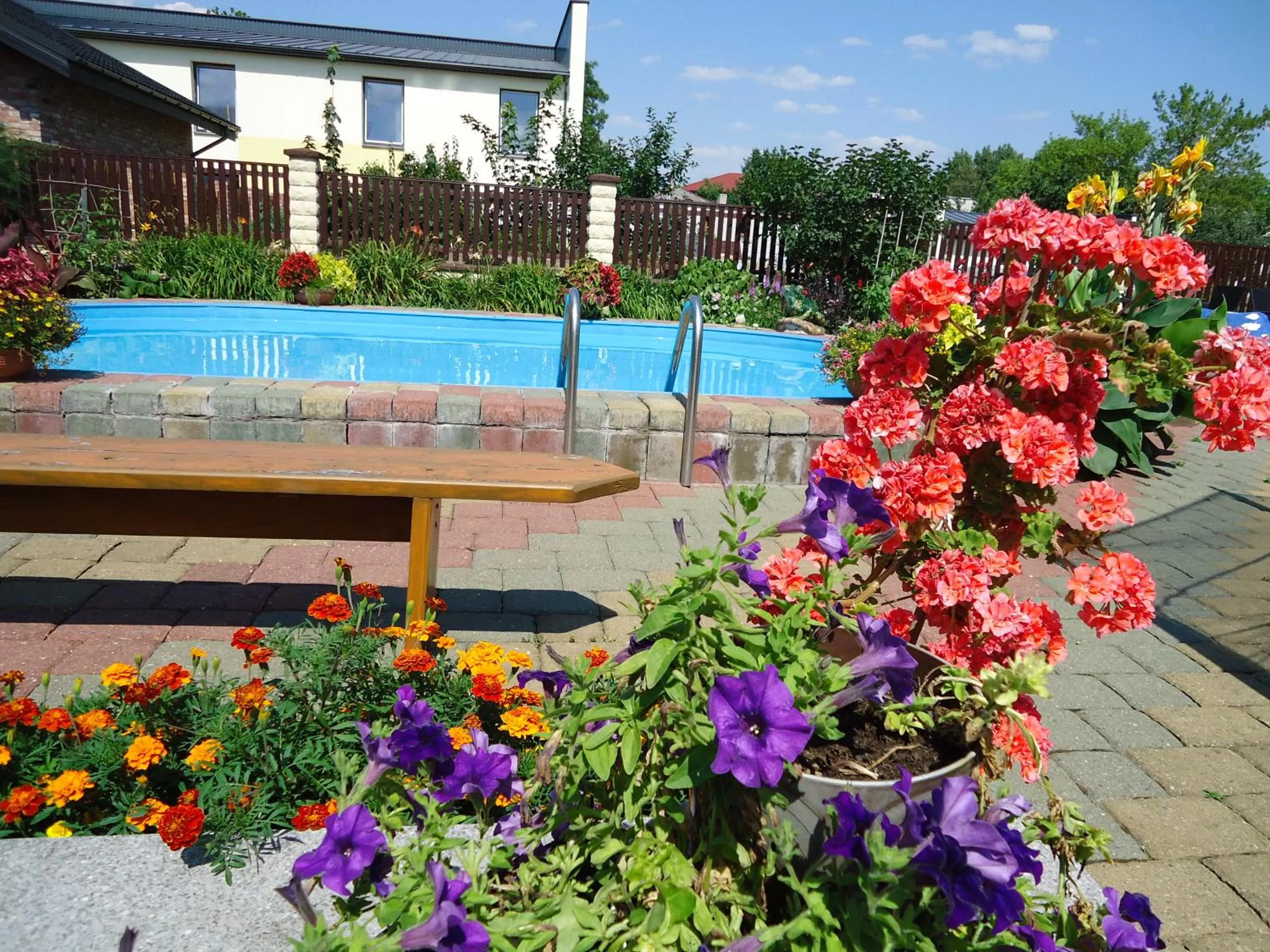 Swimming pool in Guest House Linas