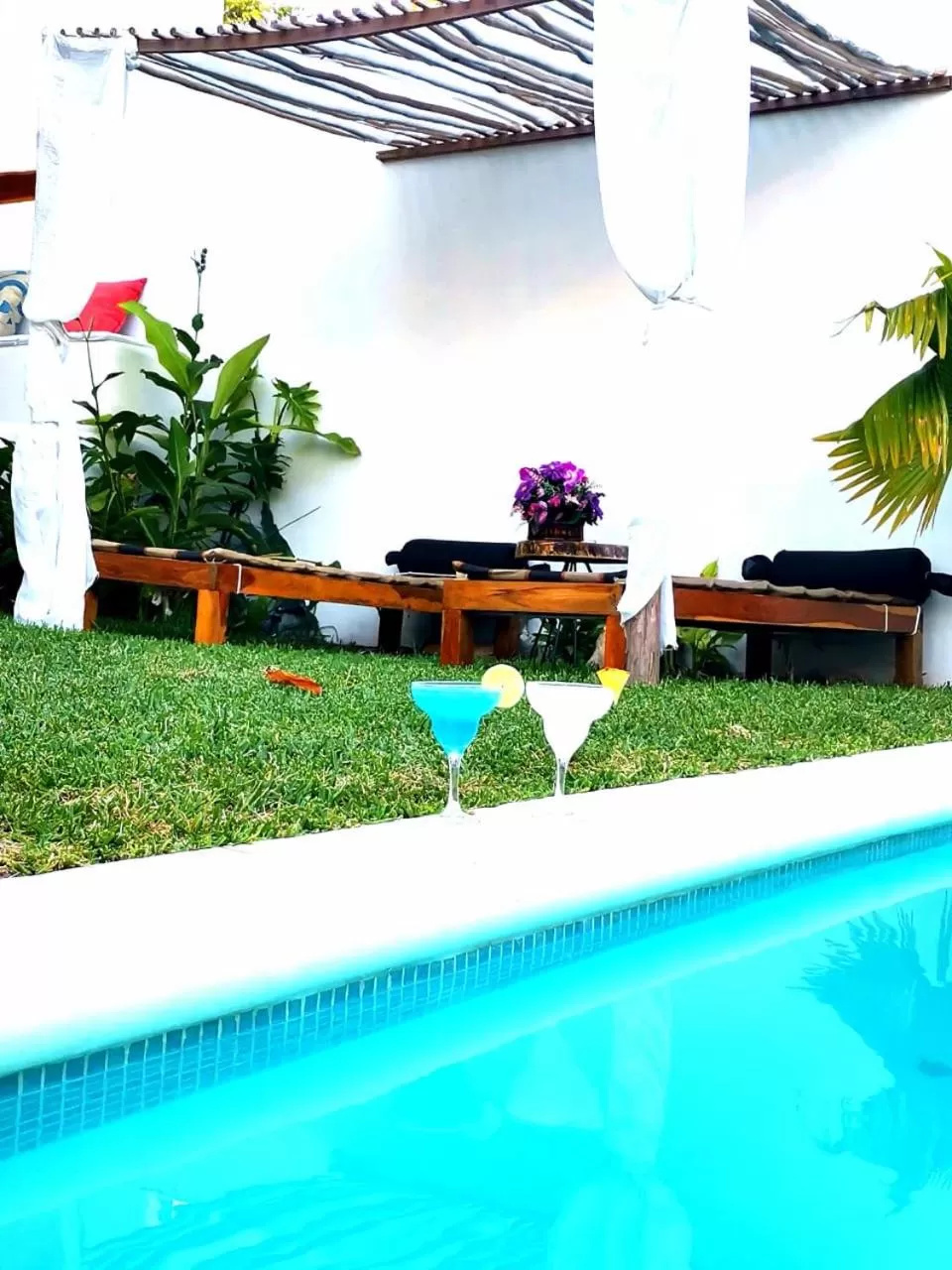 Garden, Swimming Pool in Mayan Majesty Boutique Hotel