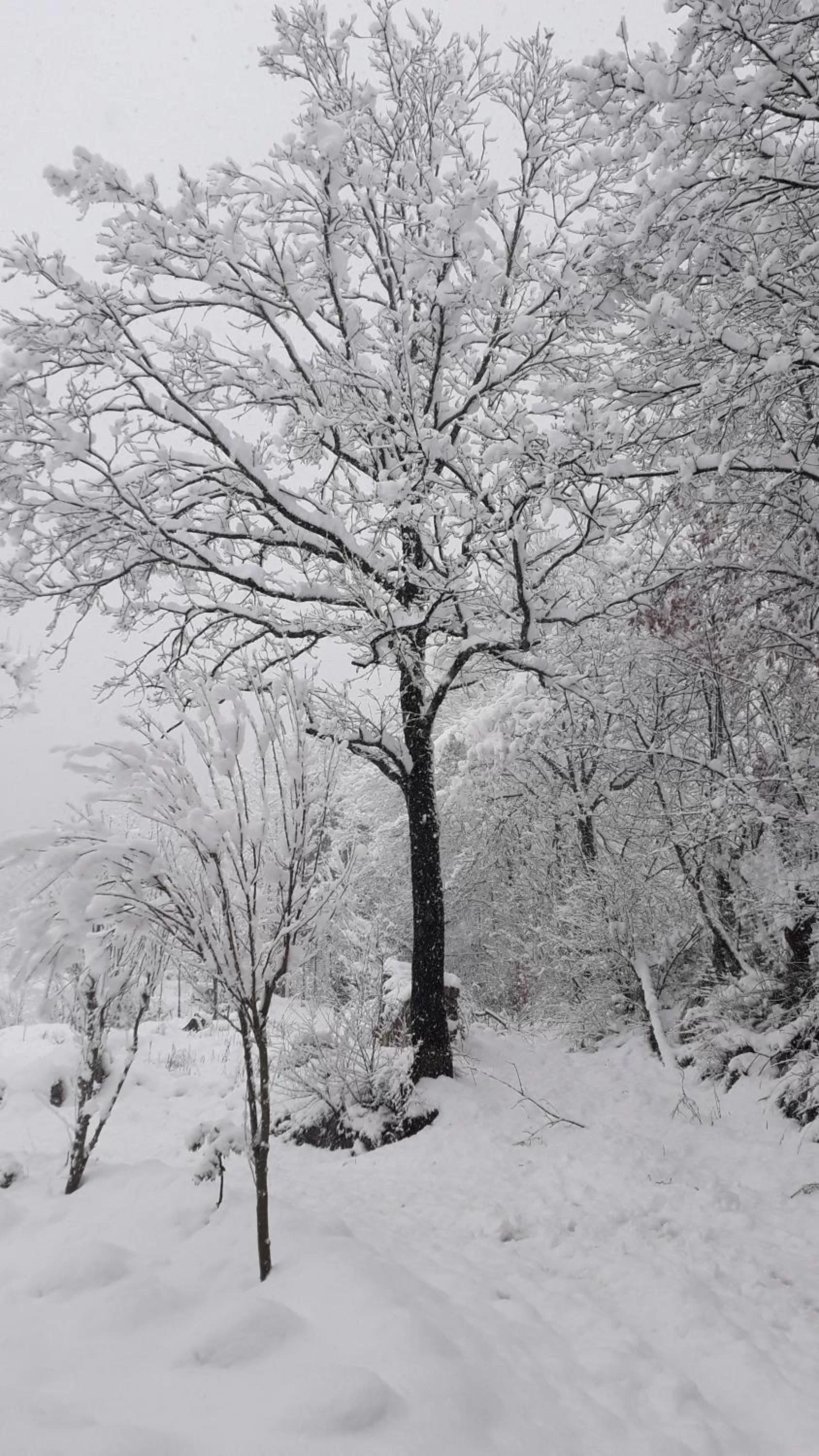 Masseria boutique b&b