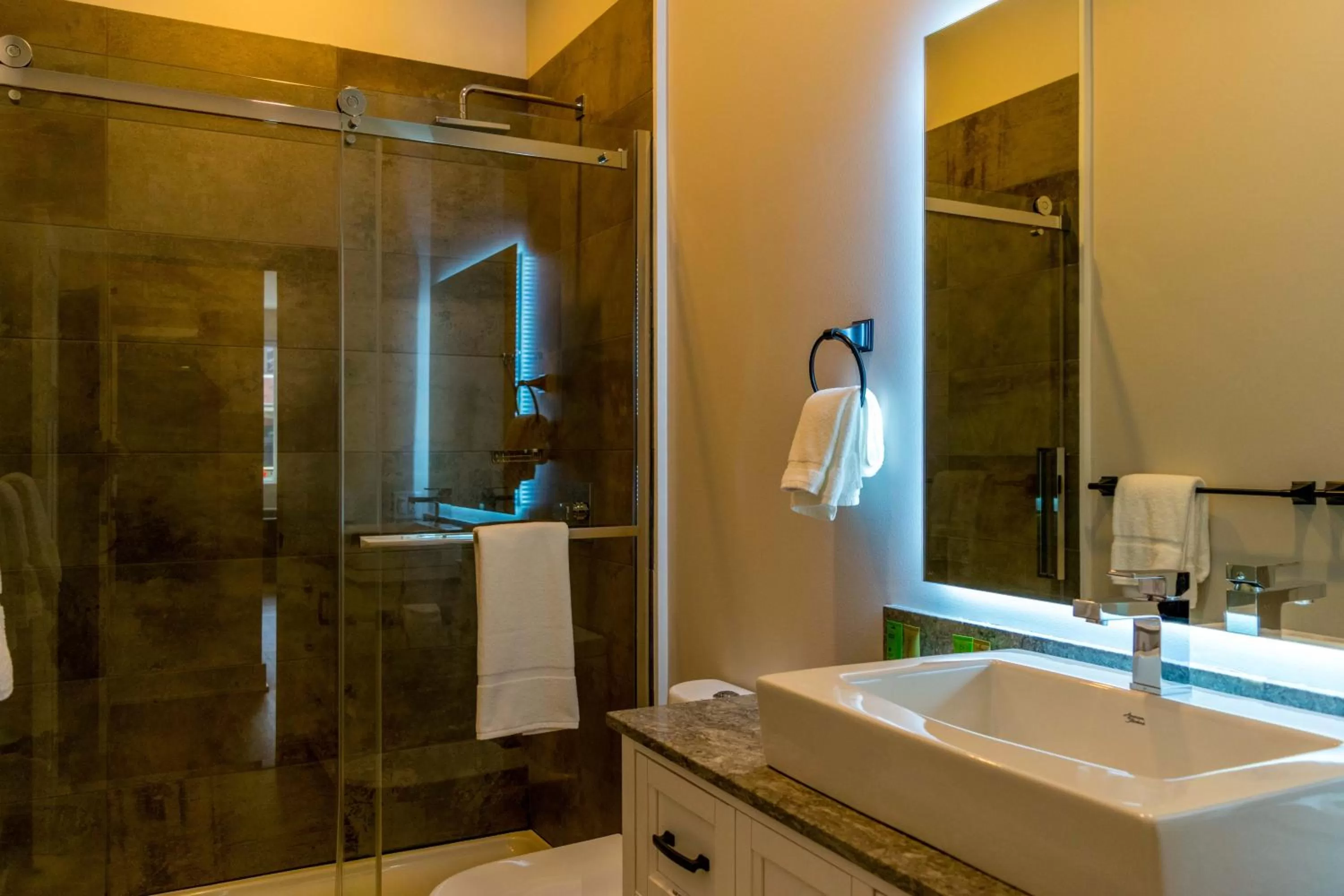 Bathroom in Lake Placid Inn: Main Street