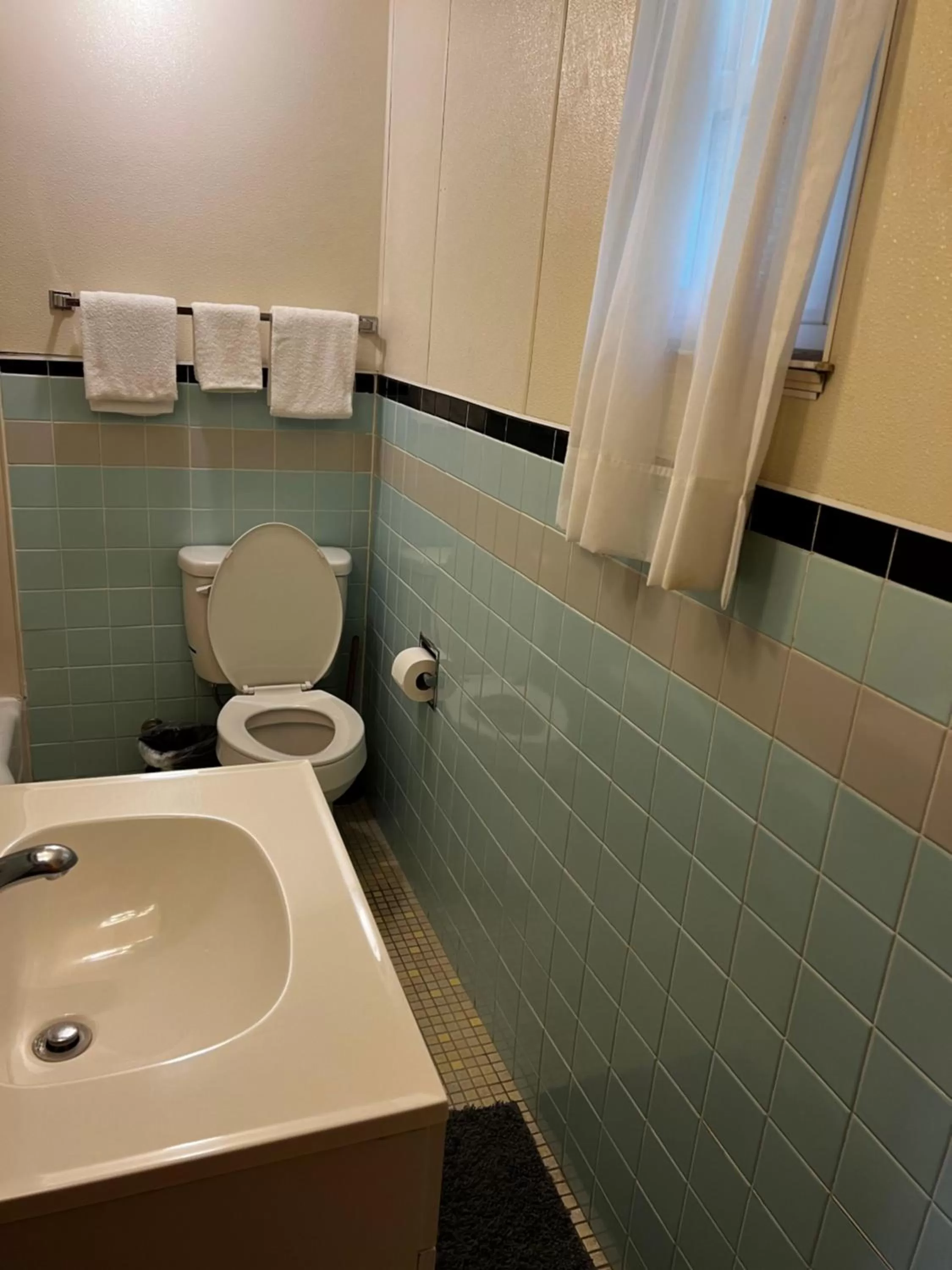 Toilet in Hopwood Motel