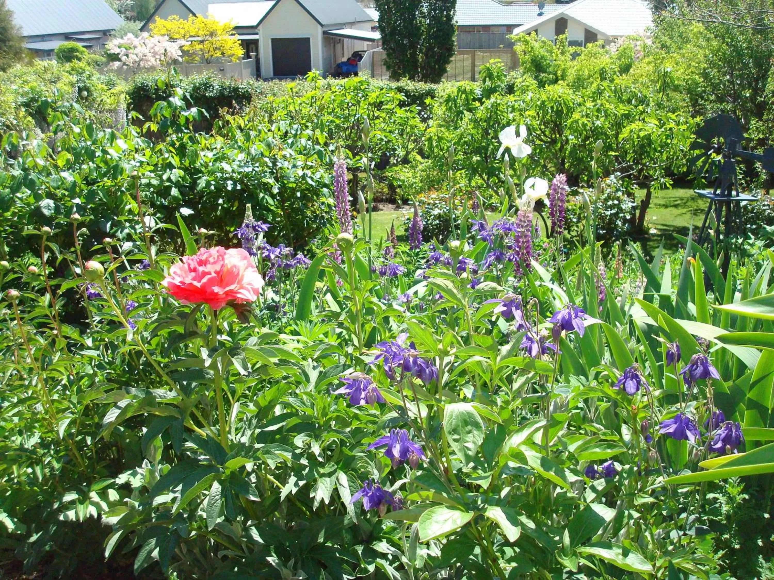 Garden in Olde Mill House B&B & Bike2Wine cycle hire
