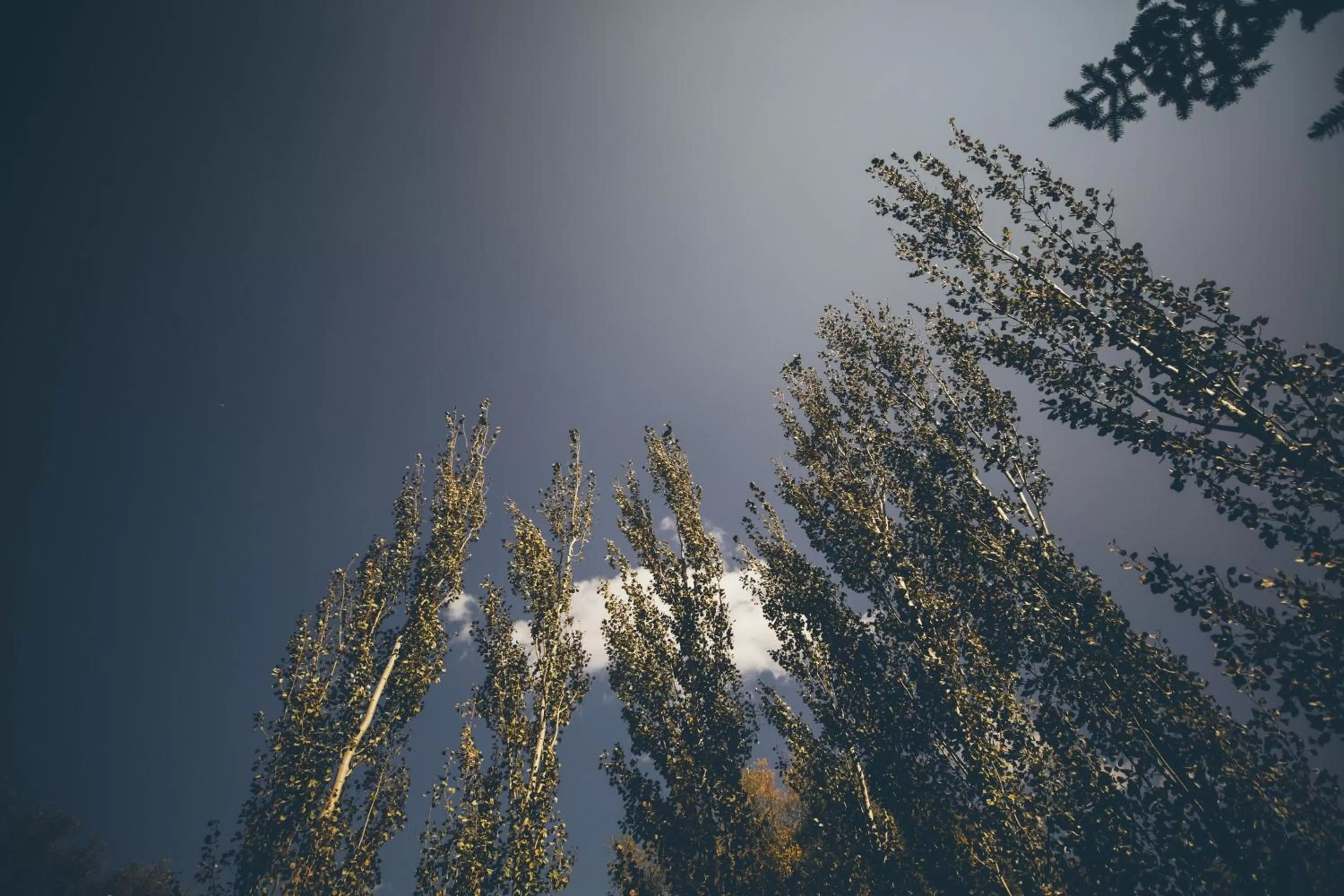 Mountain view in Little Beaver Inn