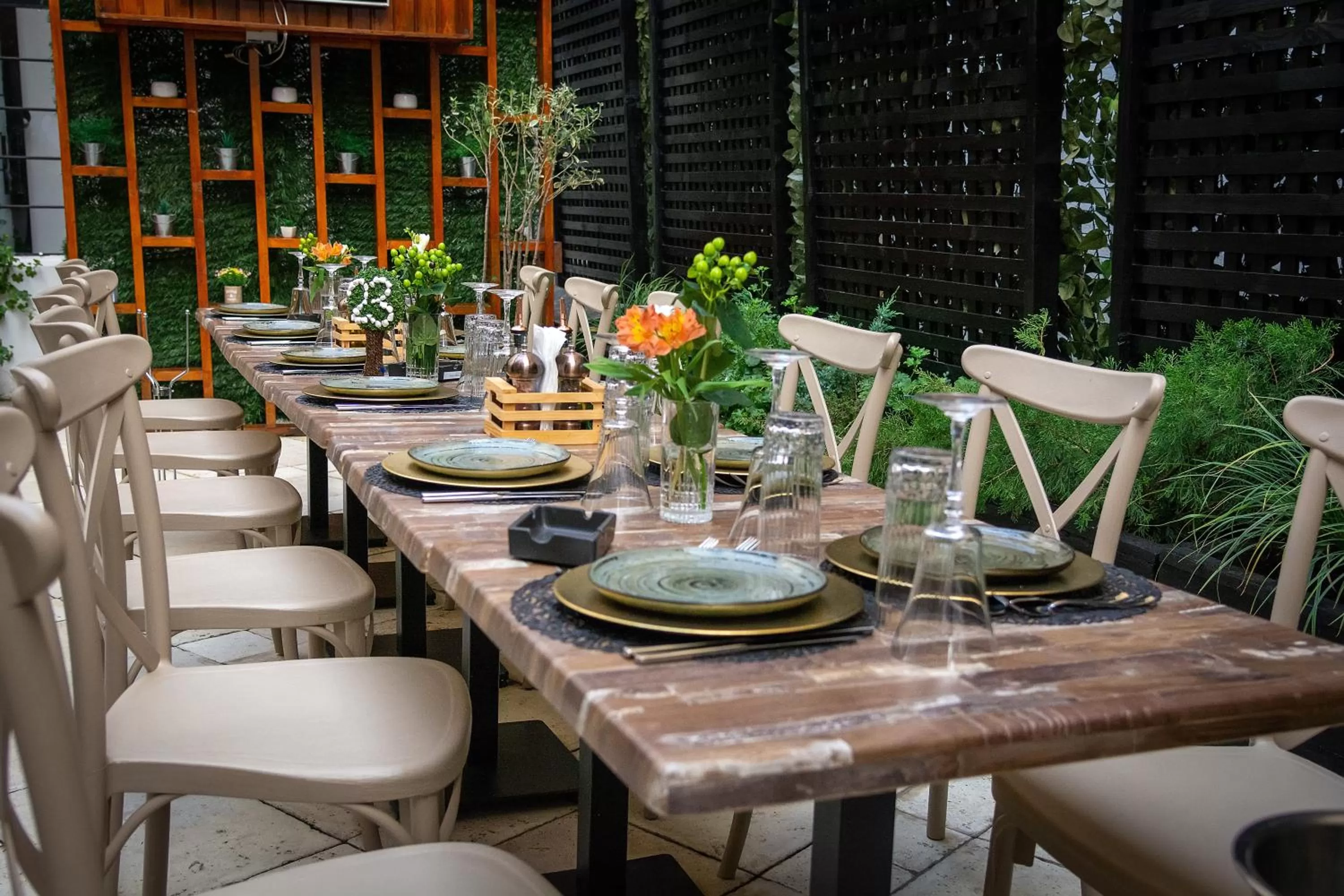 Restaurant/places to eat in Hotel Splendid 1900