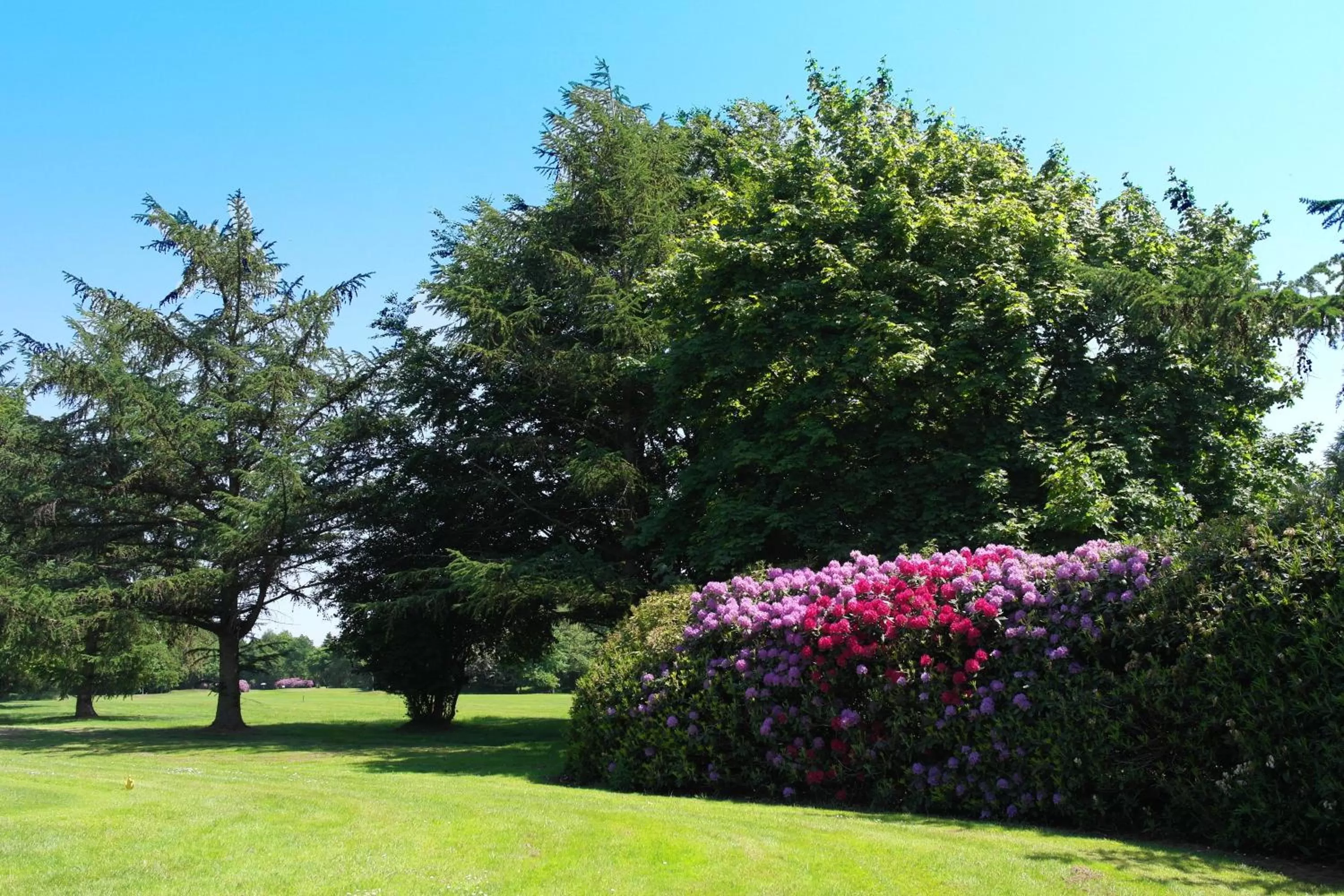 Day in Hotel Blauer Fasan