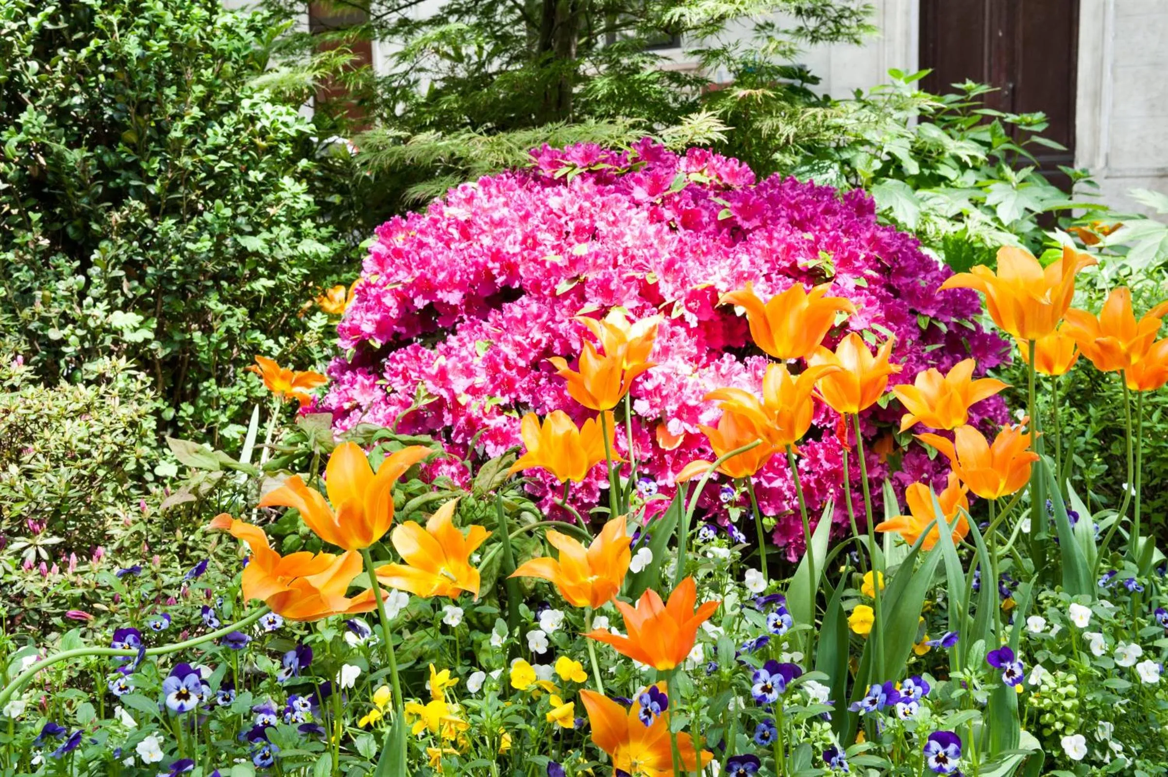 Property building in Hotel Lombardia