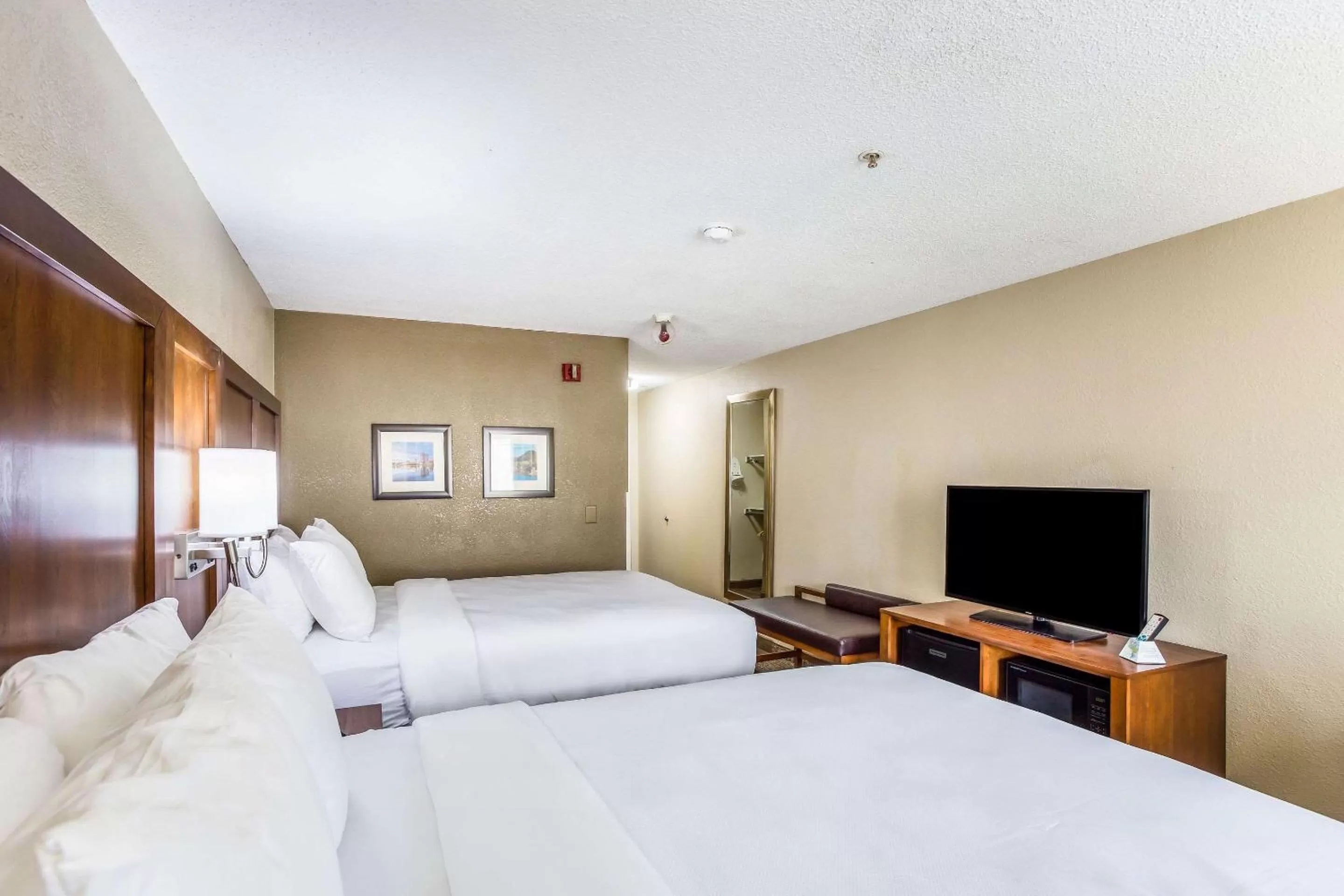 Photo of the whole room, Bed in Comfort Inn Charleston South