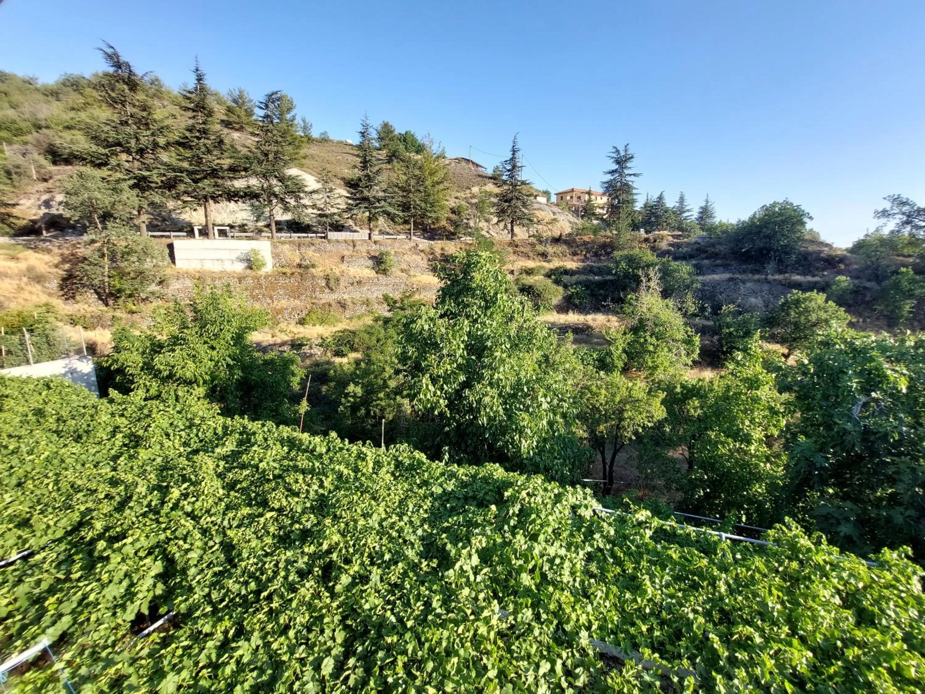 Natural landscape in Agros Green Valley Suites