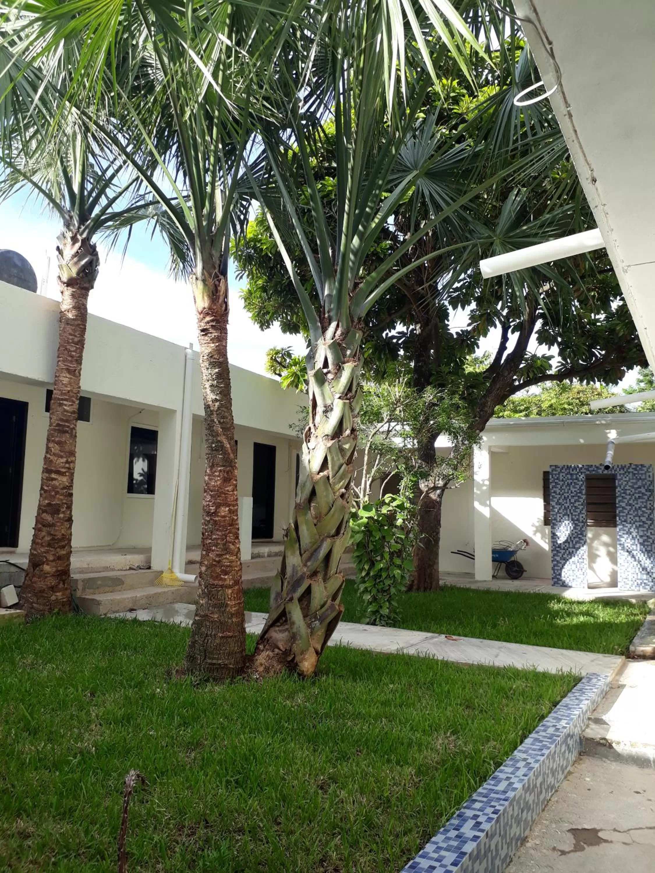 Property Building in Bea rooms and studios