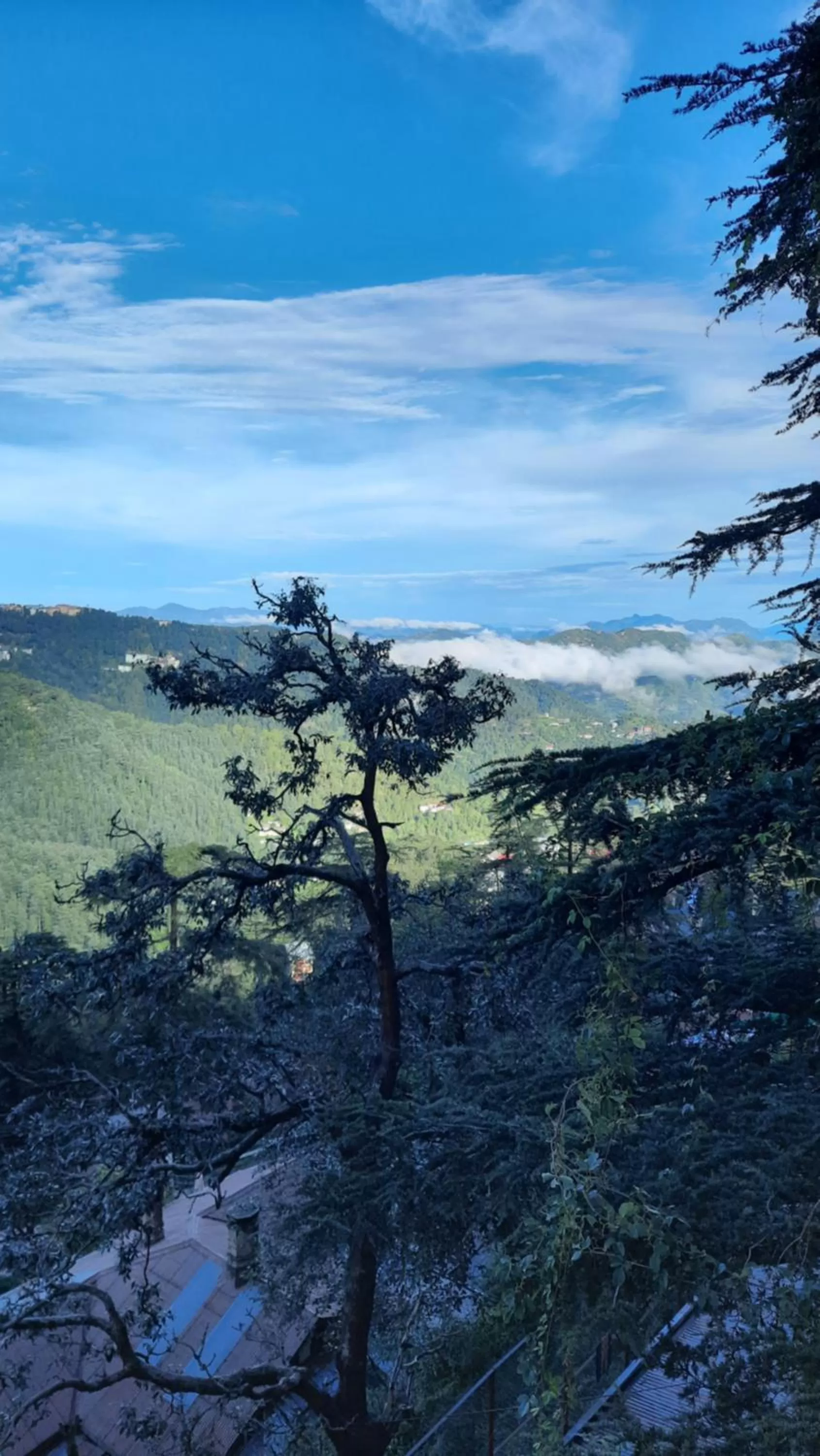 Natural landscape in Hotel Lords Regency - Connected to Mall Road