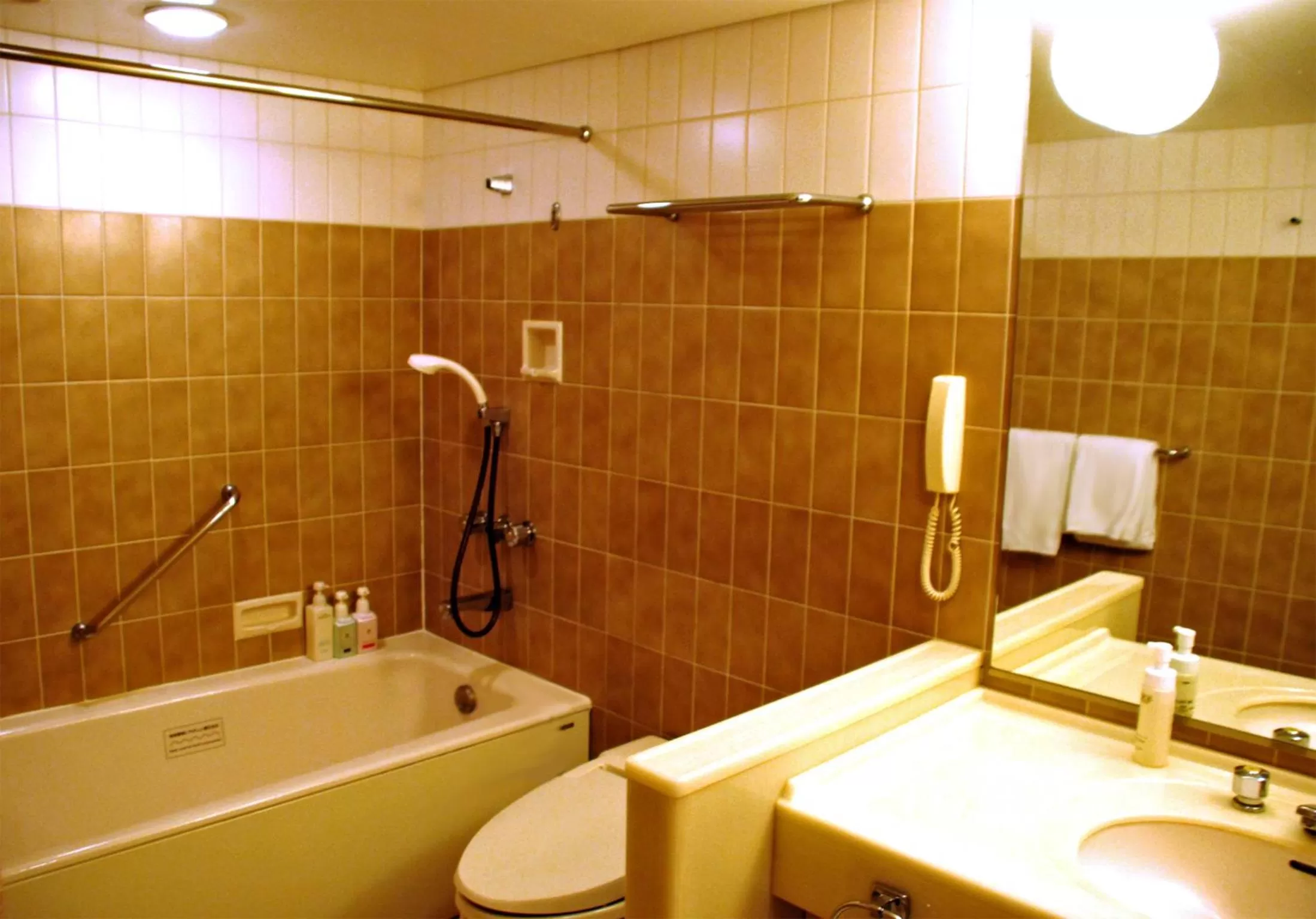 Bathroom in Hotel Nikko Narita