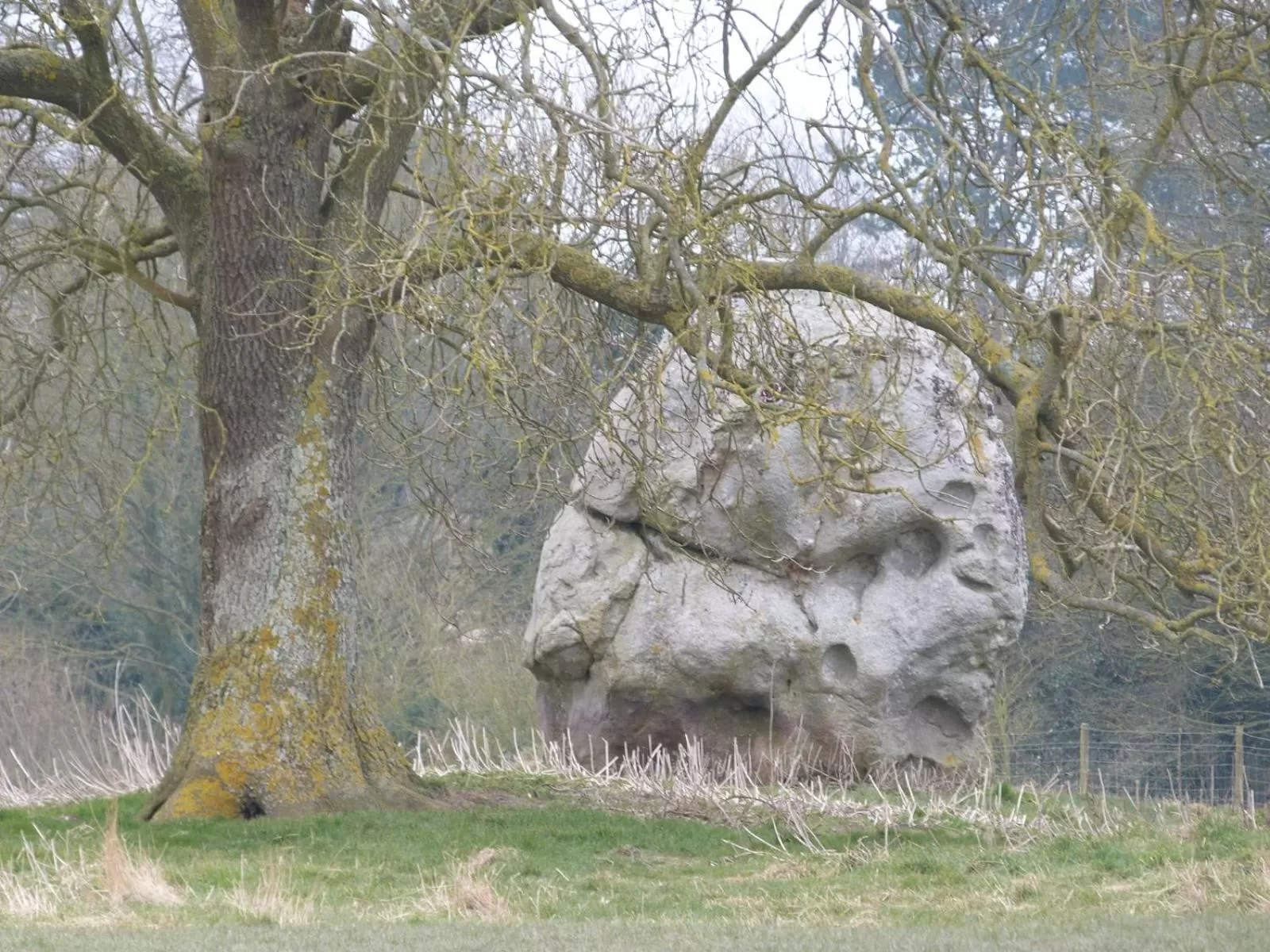Natural Landscape in B&B Dorwyn Manor