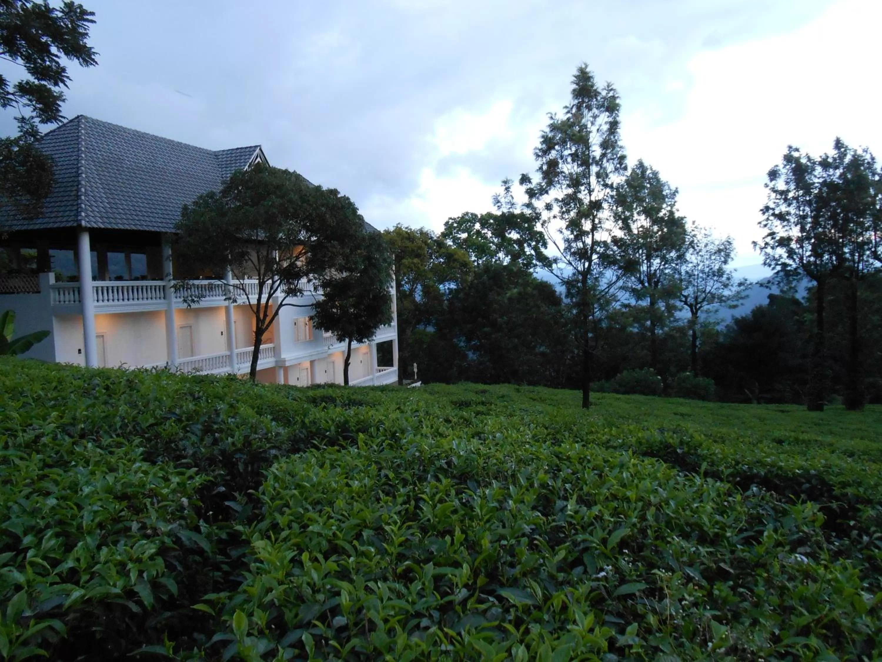 Facade/entrance in Tea Harvester
