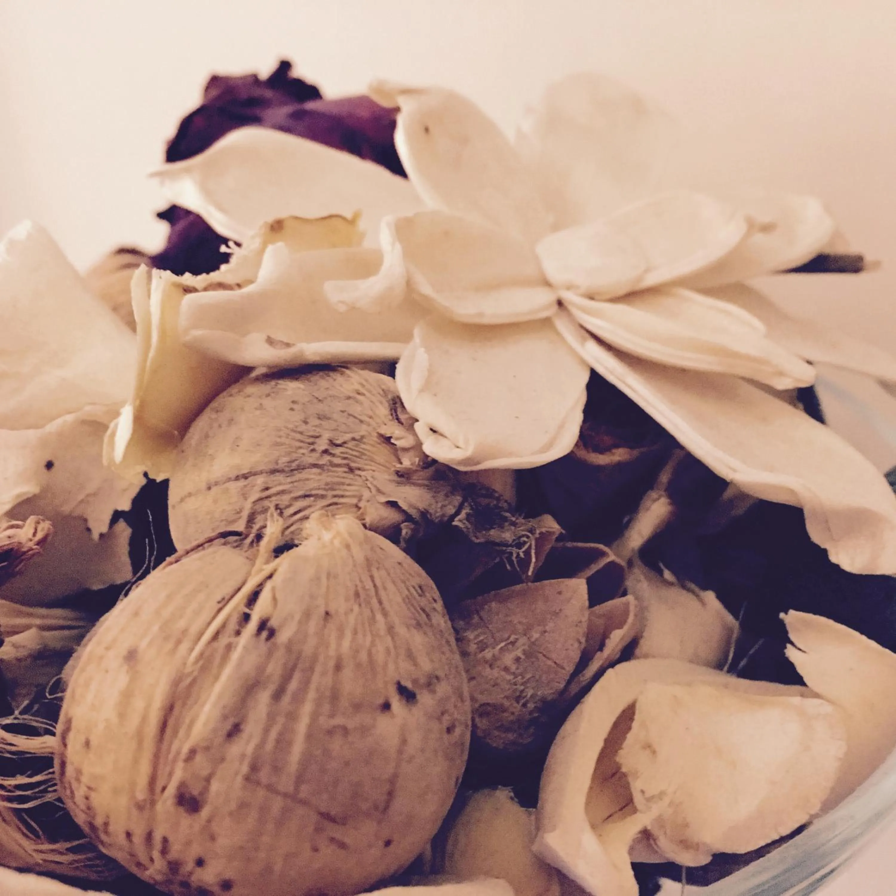 Decorative detail in Hotel Fiorenza