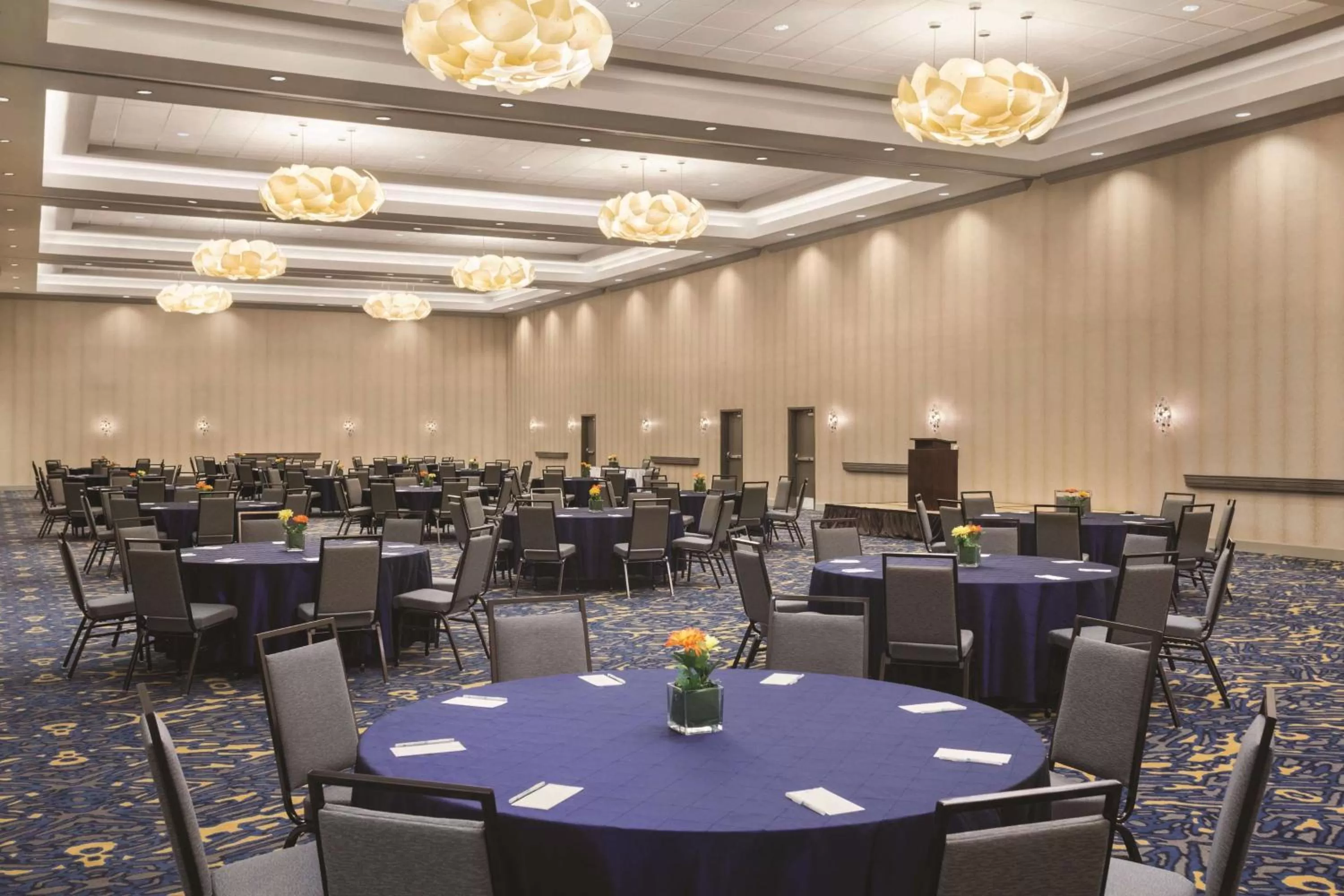 Meeting/conference room in Embassy Suites by Hilton McAllen Convention Center