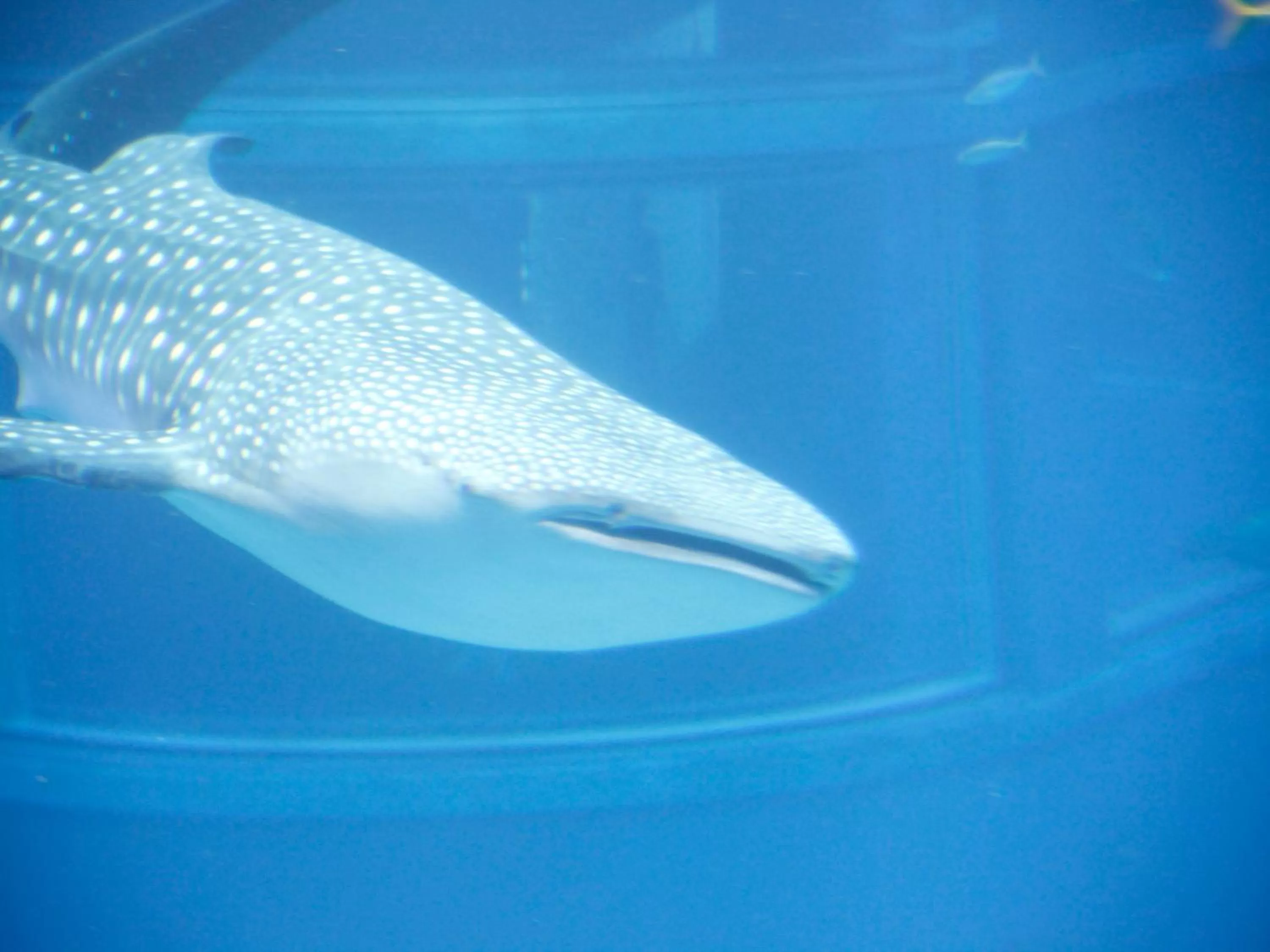 Nearby landmark in Hotel Wing International Select Osaka Umeda