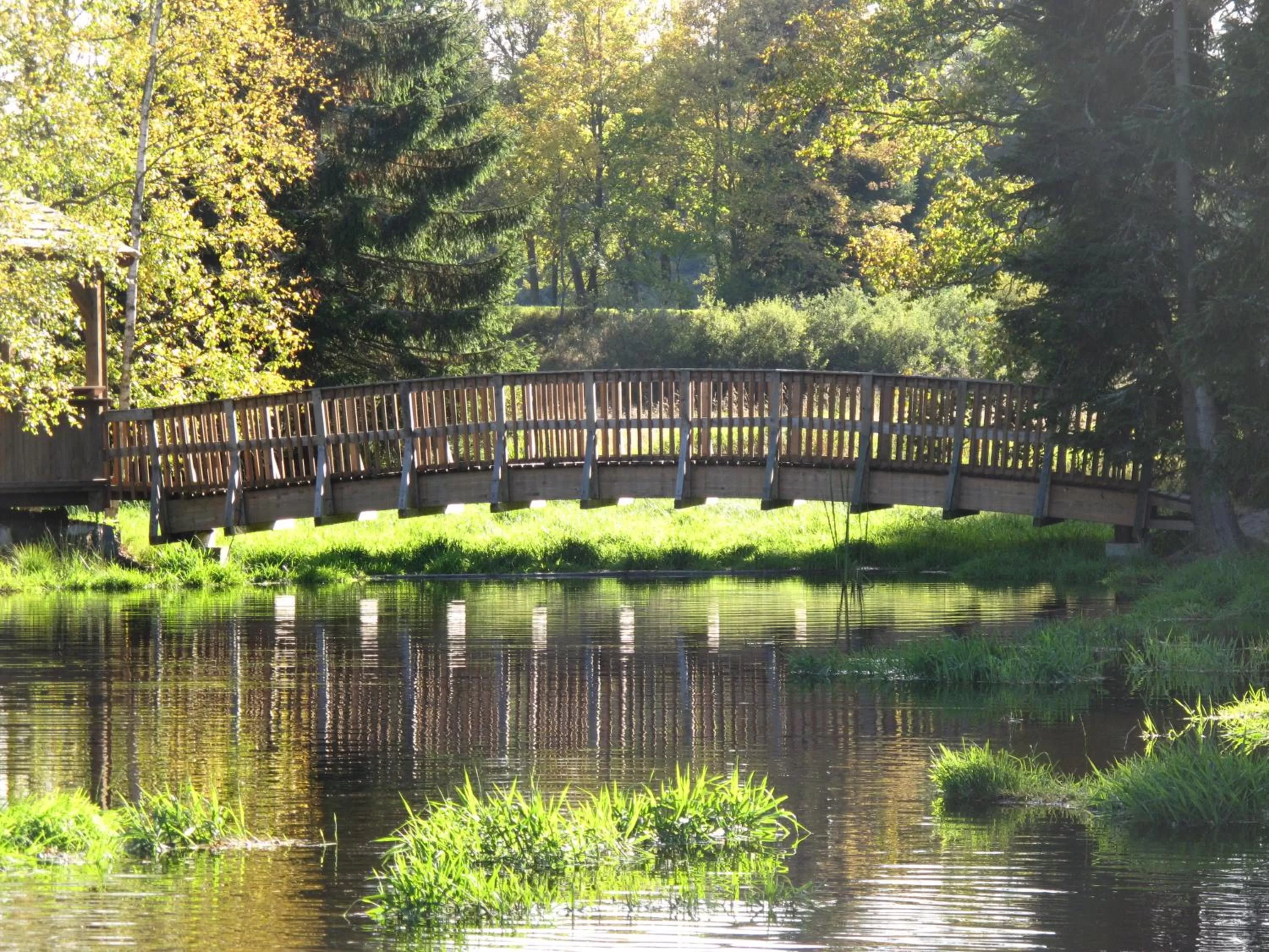 Natural landscape in Spa Hotel Devin