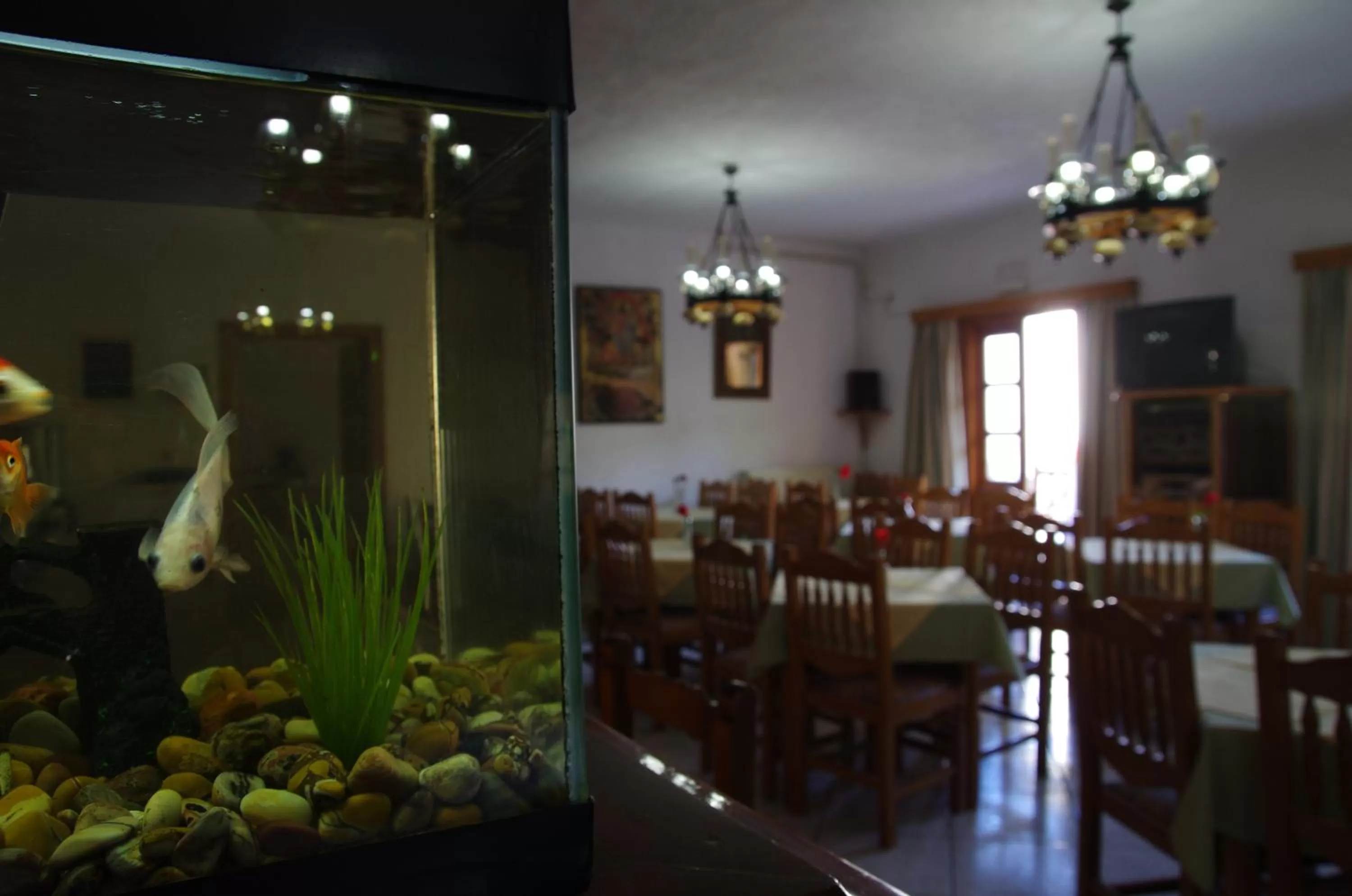 Restaurant/places to eat in Effie Hotel