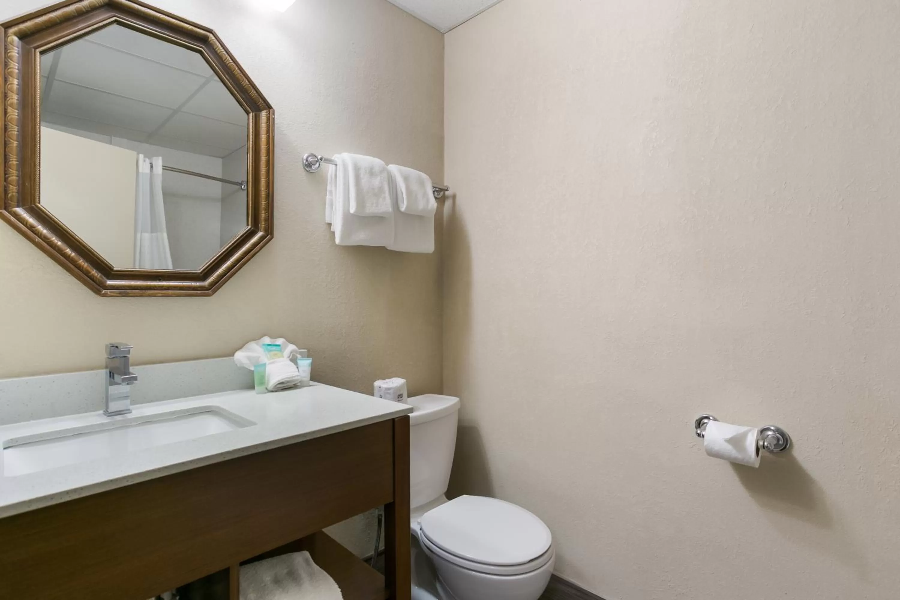 Bathroom in Eisenhower Hotel and Conference Center