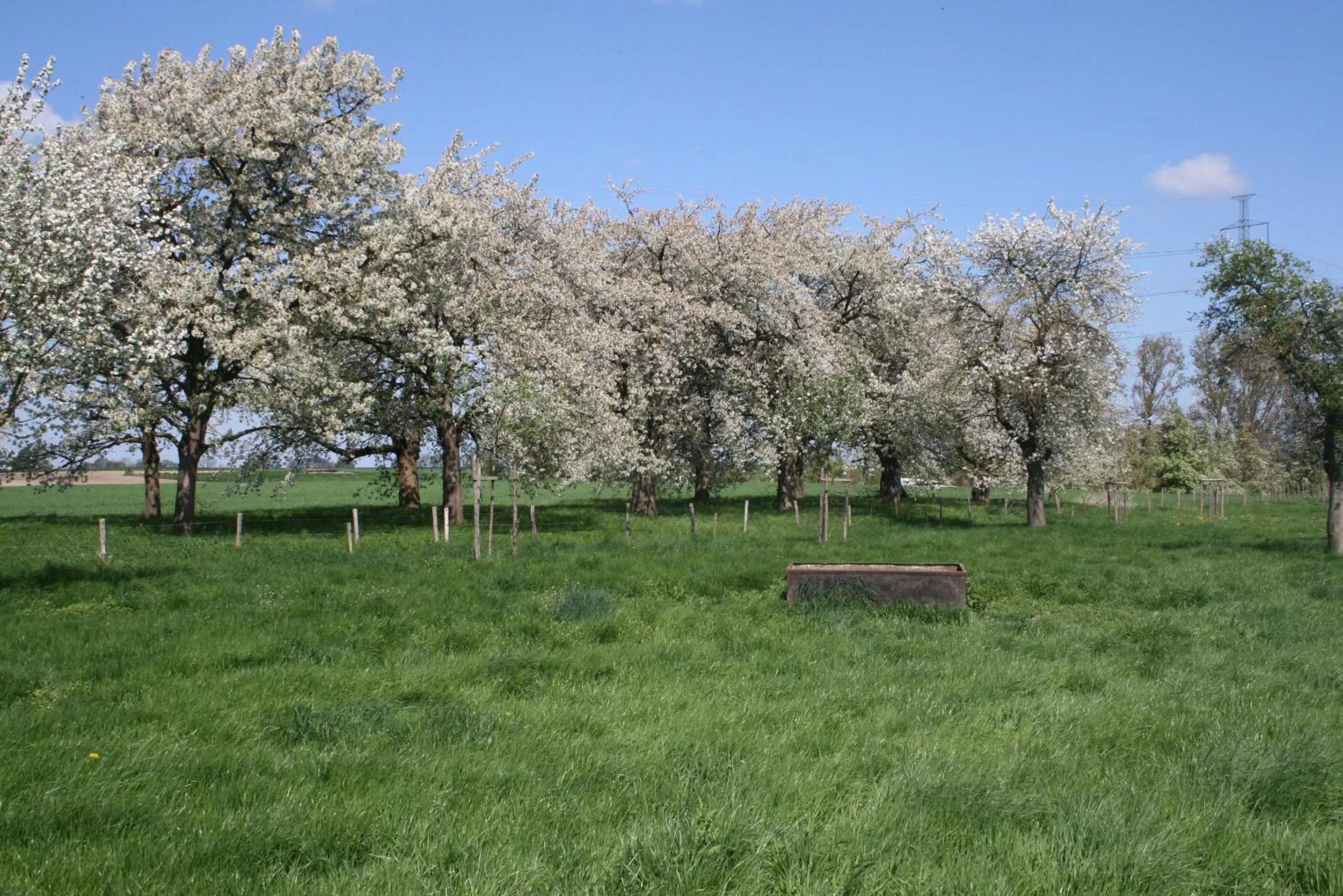 Nearby landmark in twee broeders