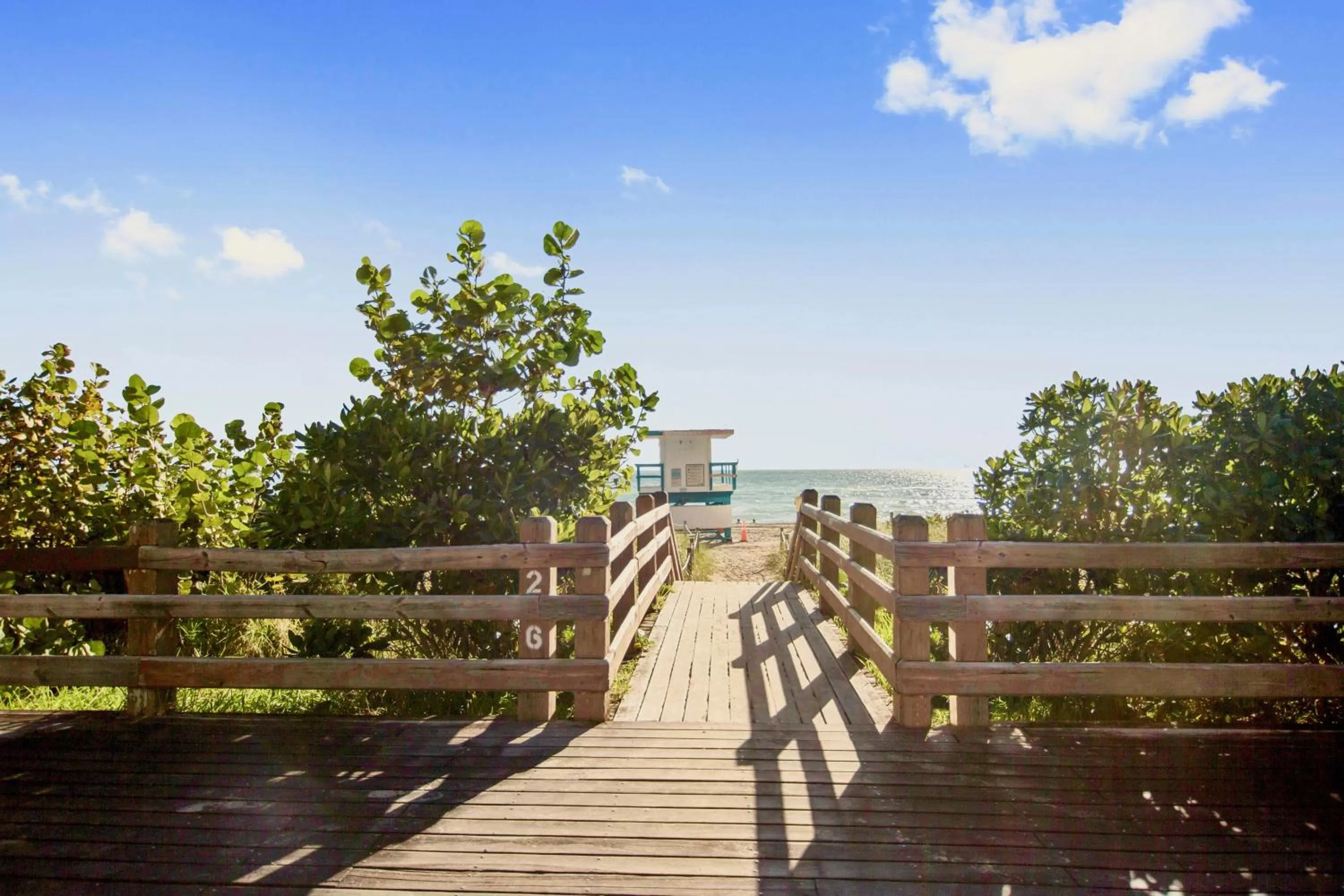 Natural landscape in Lorraine Hotel