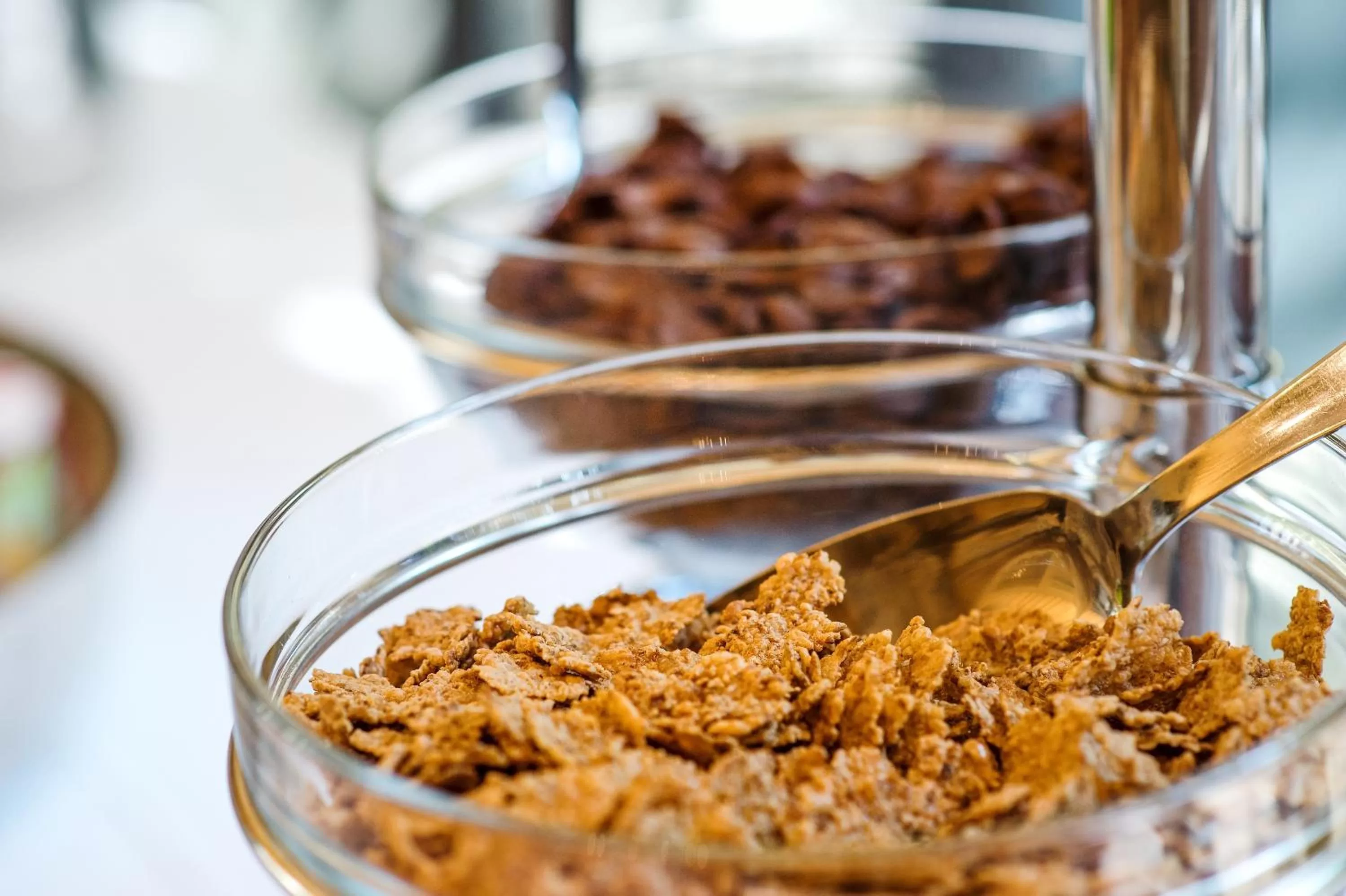 Food close-up in Hotel Villa Traiano