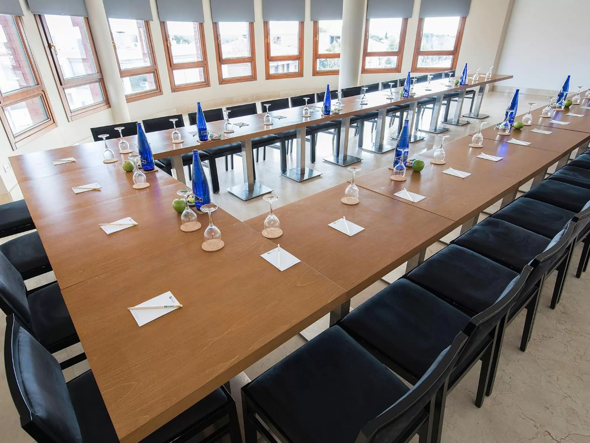 Business facilities in Hotel Plaza Las Matas