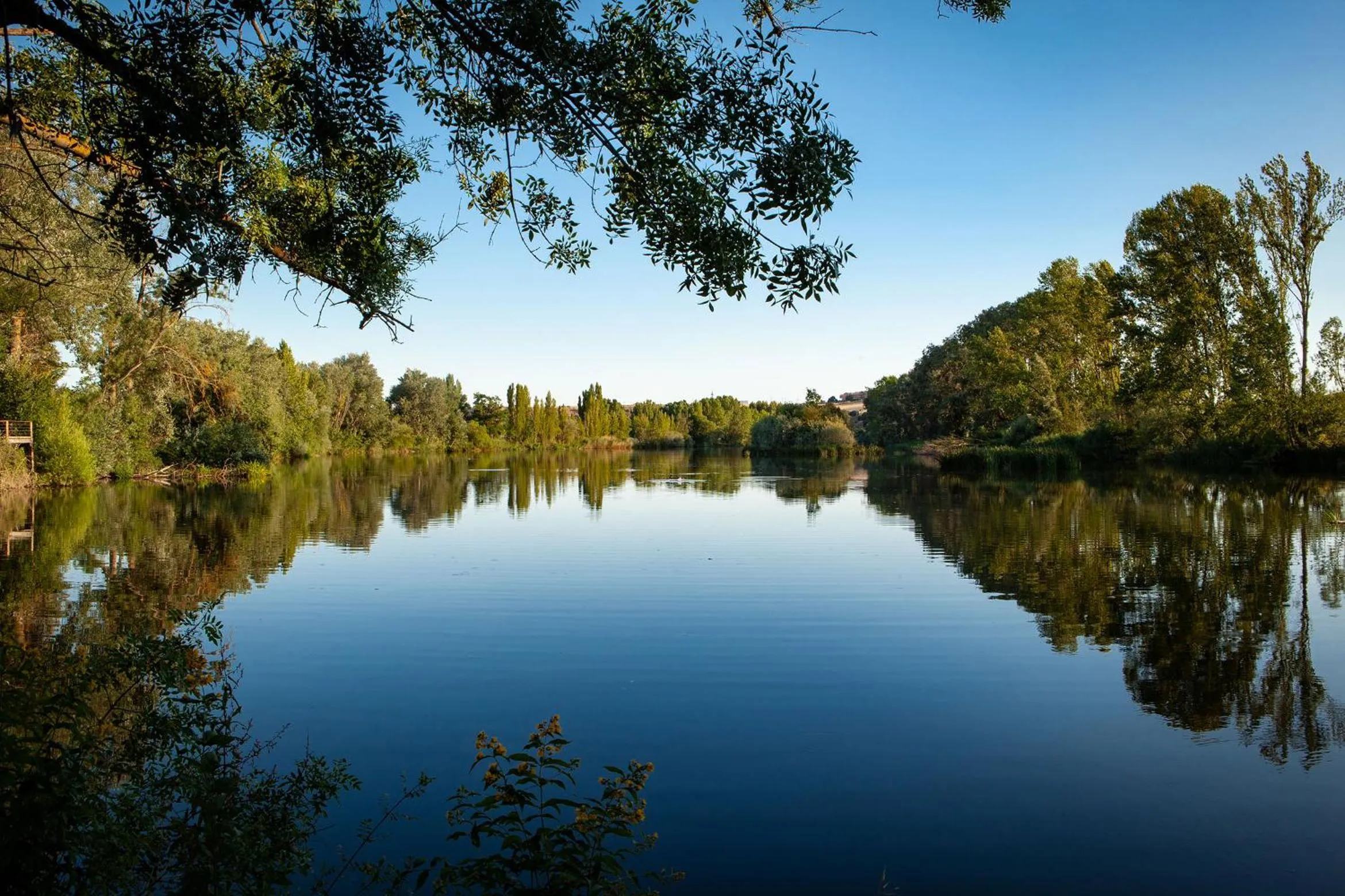 Fishing in Hotel Doña Brígida – Salamanca Forum