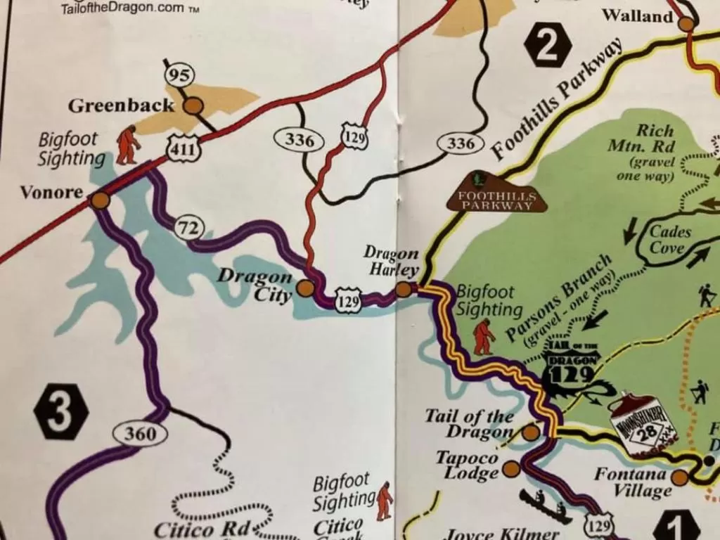 Bird's-eye View in Dragon City