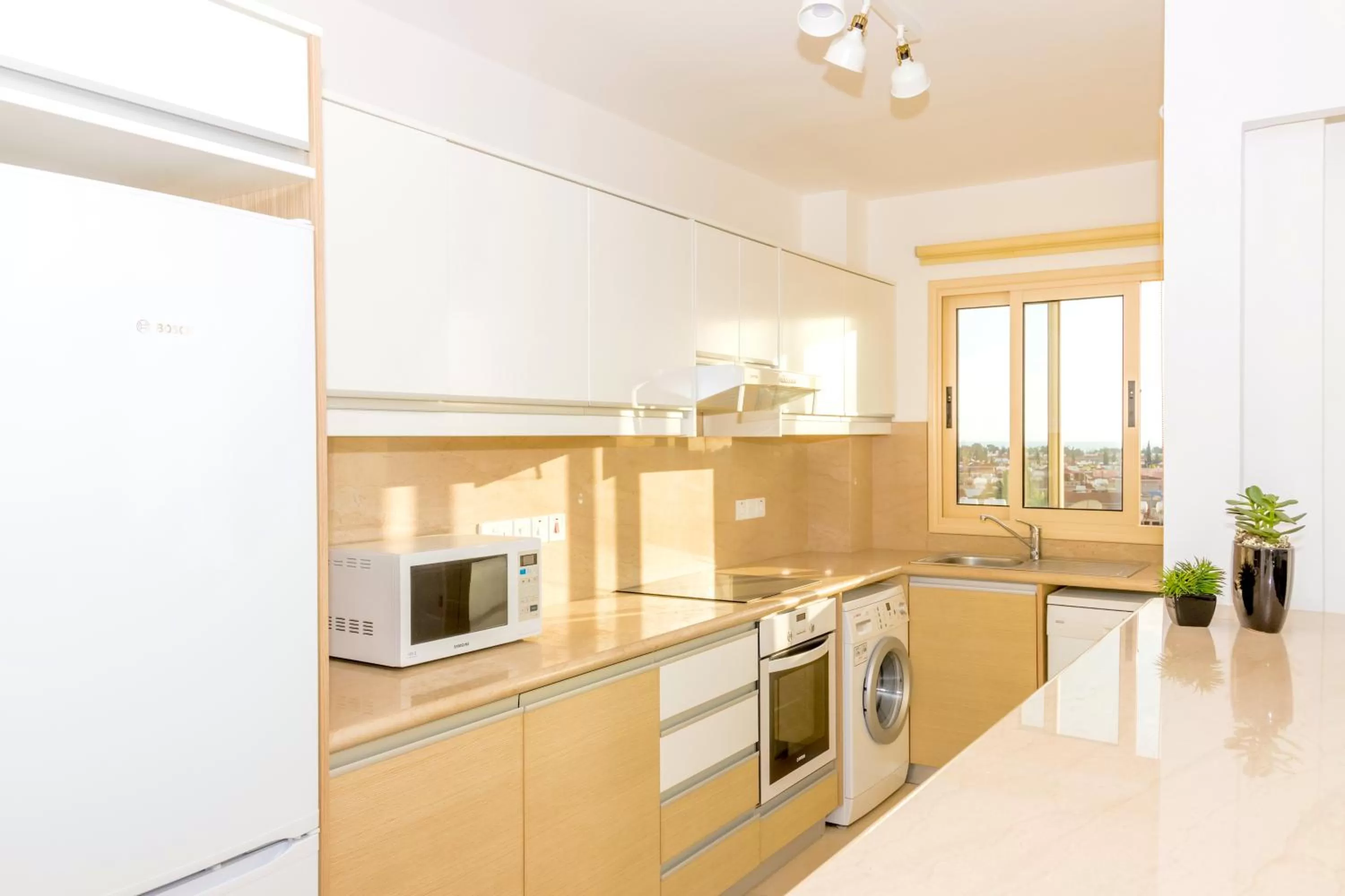 Kitchen or kitchenette in Elysia Park