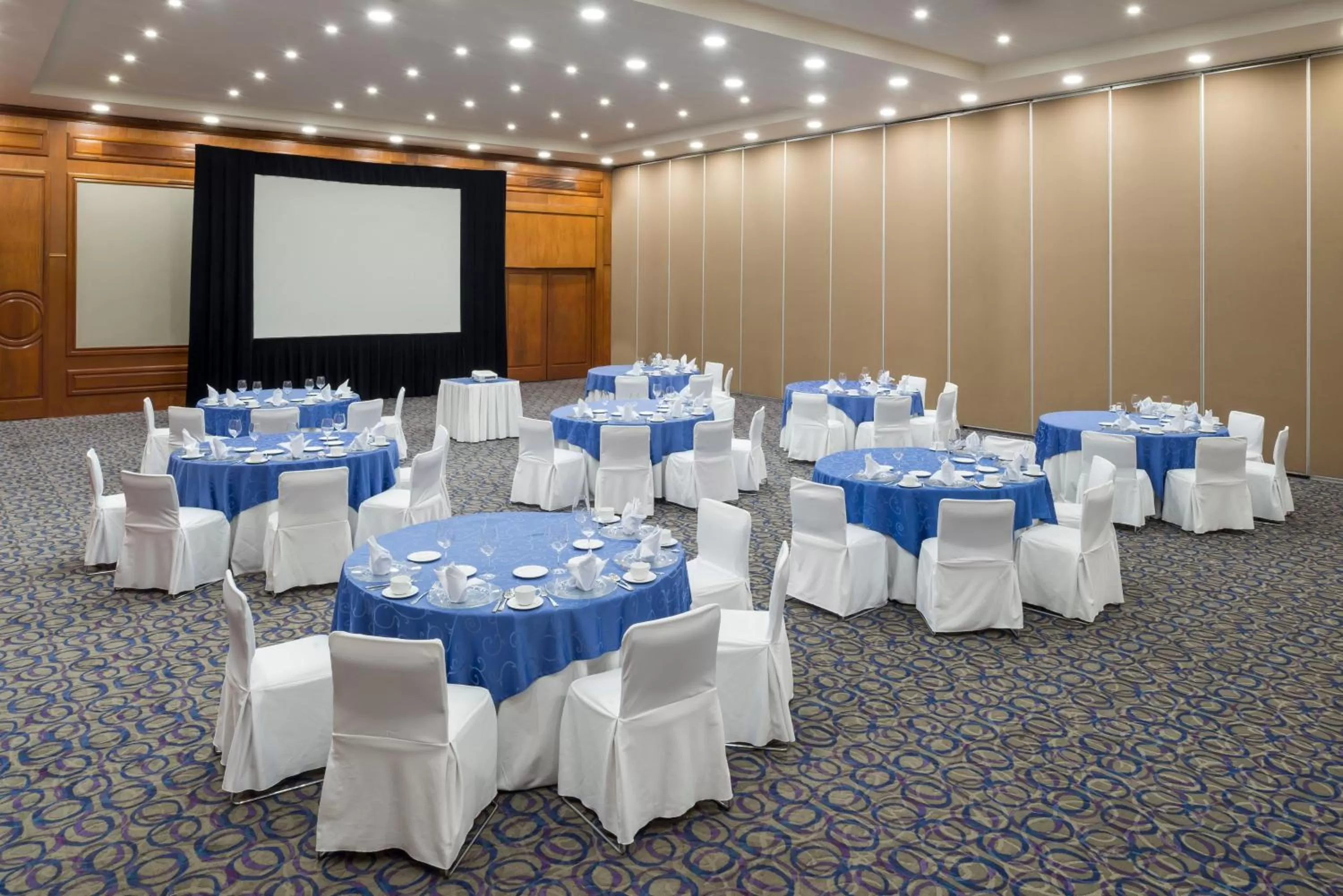 Spa and wellness centre/facilities in Camino Real Guadalajara