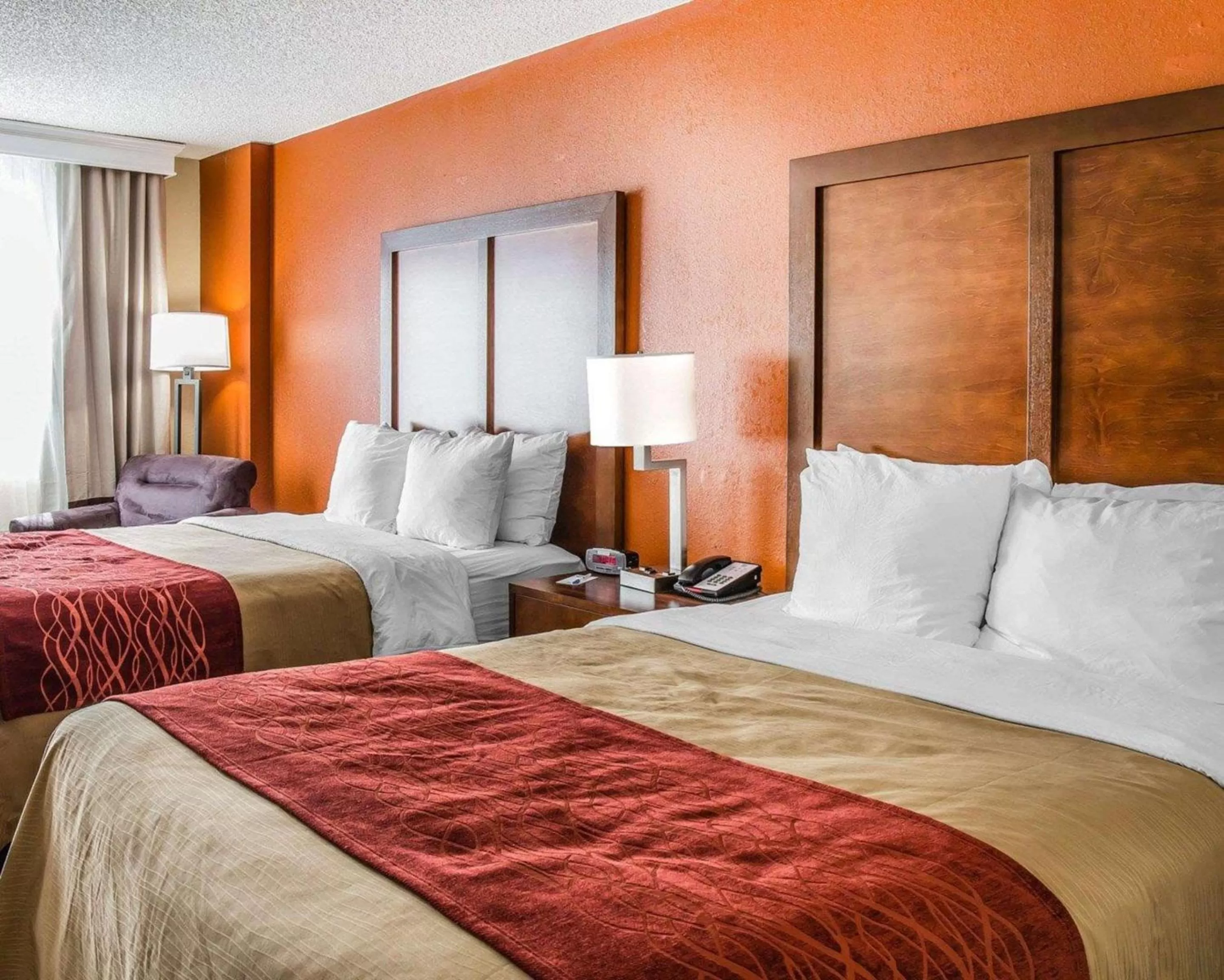 Photo of the whole room, Bed in Comfort Inn & Suites Lakeland North I-4