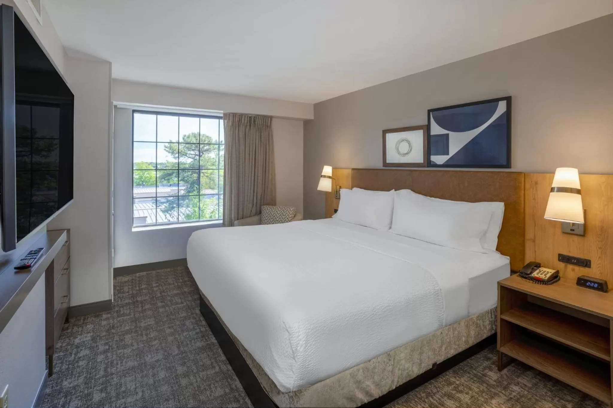 Photo of the whole room, Bed in Staybridge Suites Wilmington East by IHG