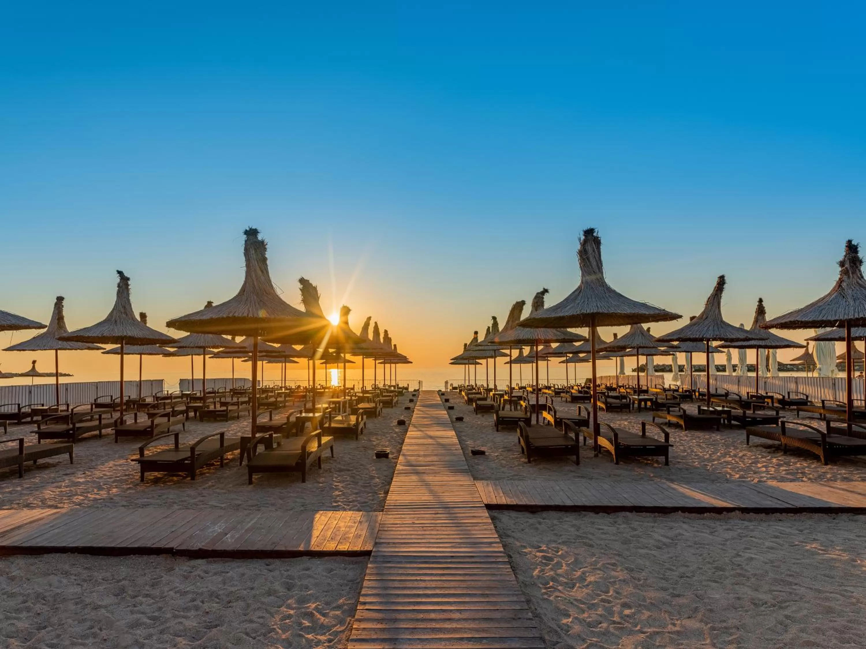 Beach in New Belvedere