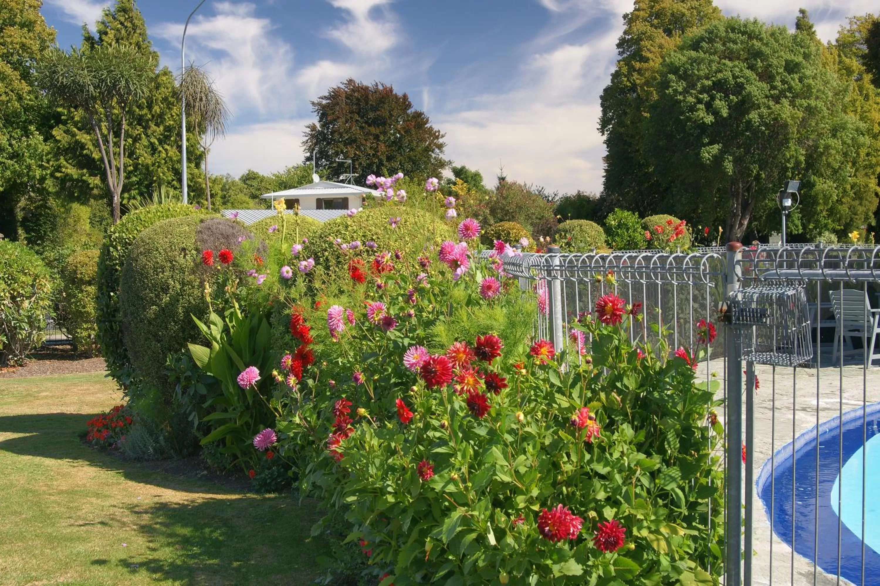 Garden in Middle Park Motel