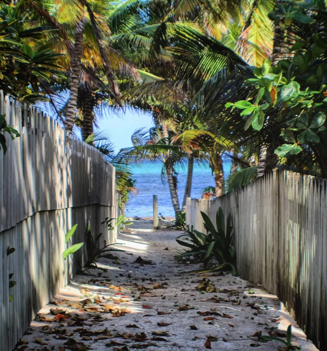 Beach in PUR Boutique Cabanas, Adults Only