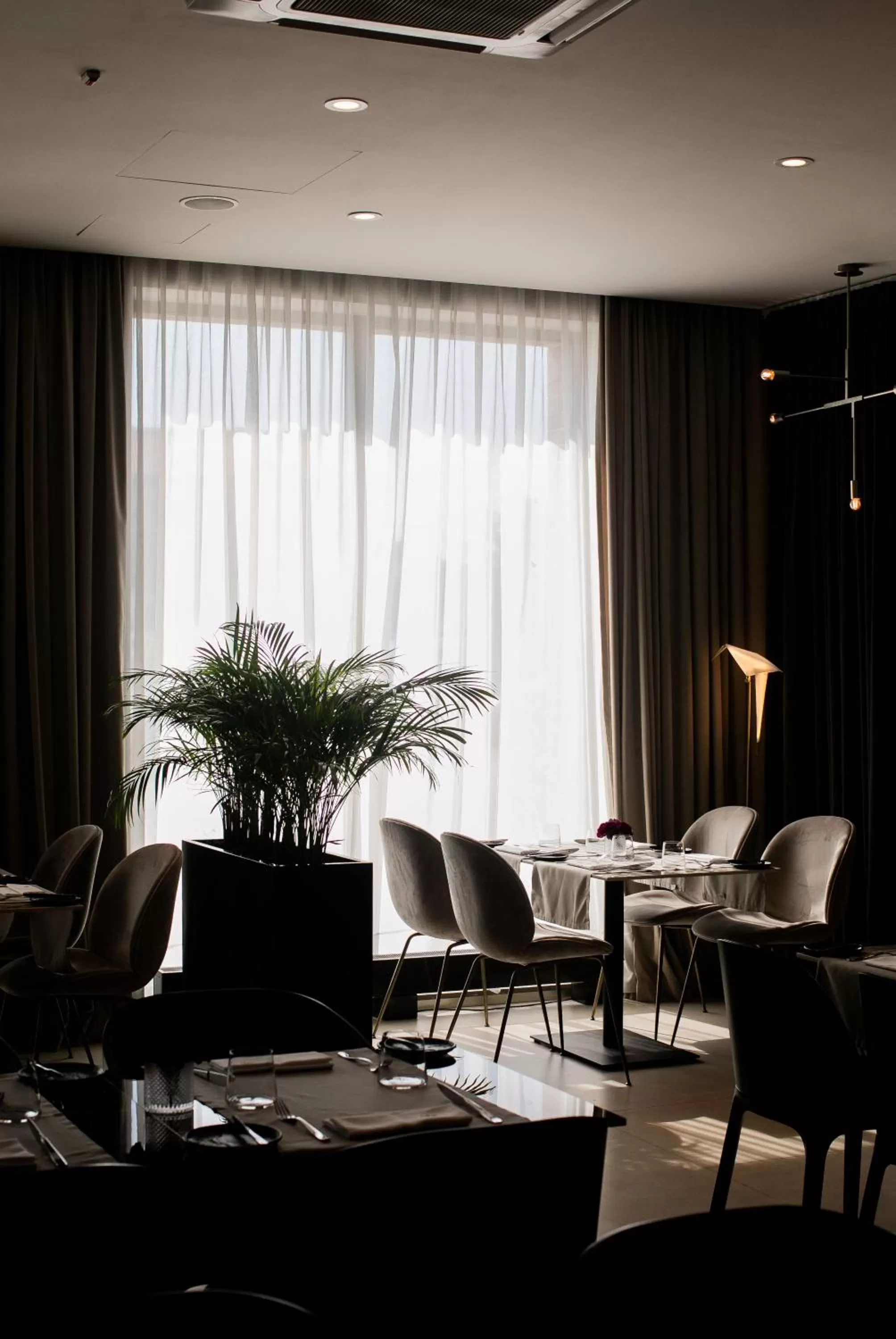 Restaurant/places to eat in GRANO HOTEL Gdańsk Old Town