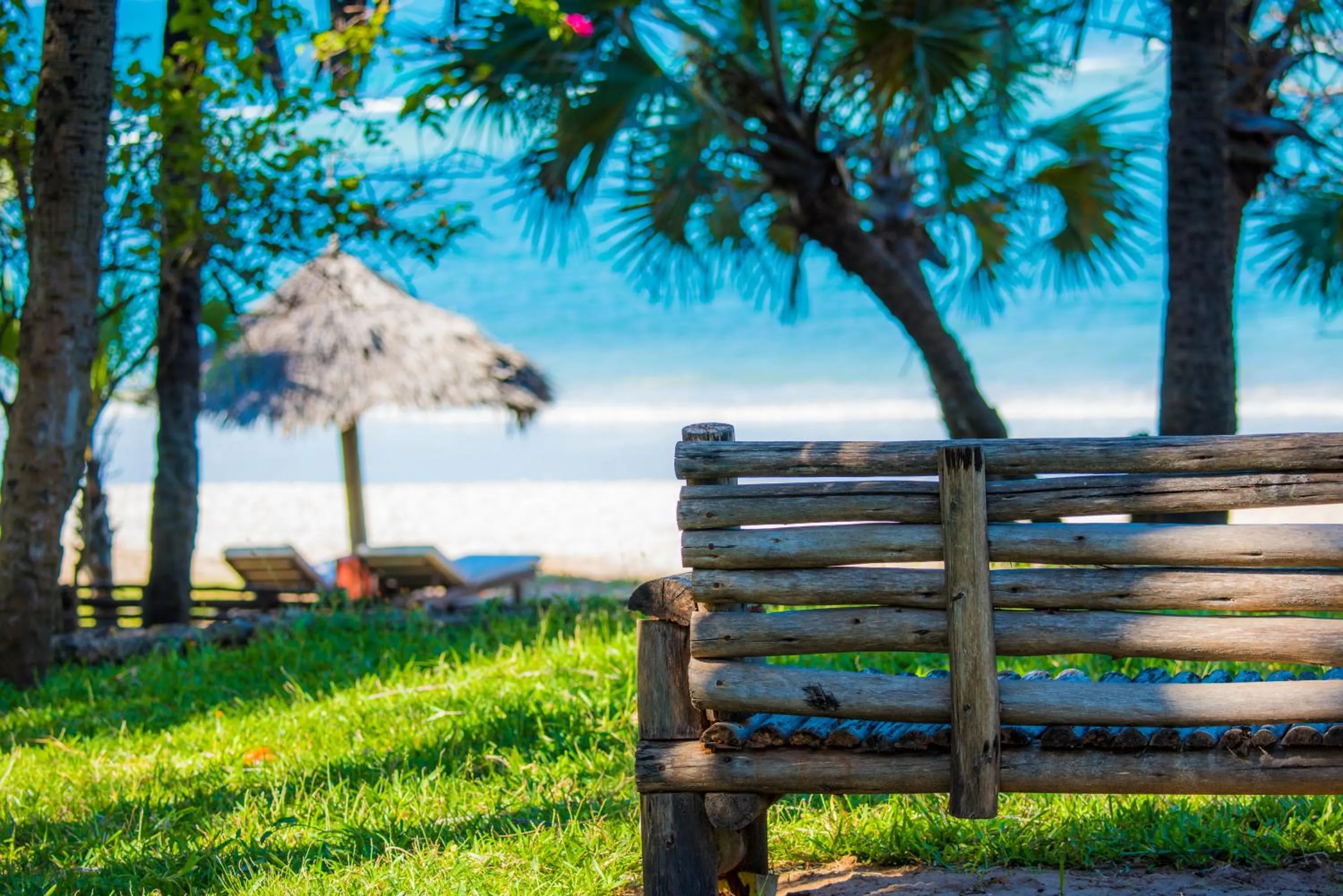 Garden in Amani Beach Resort
