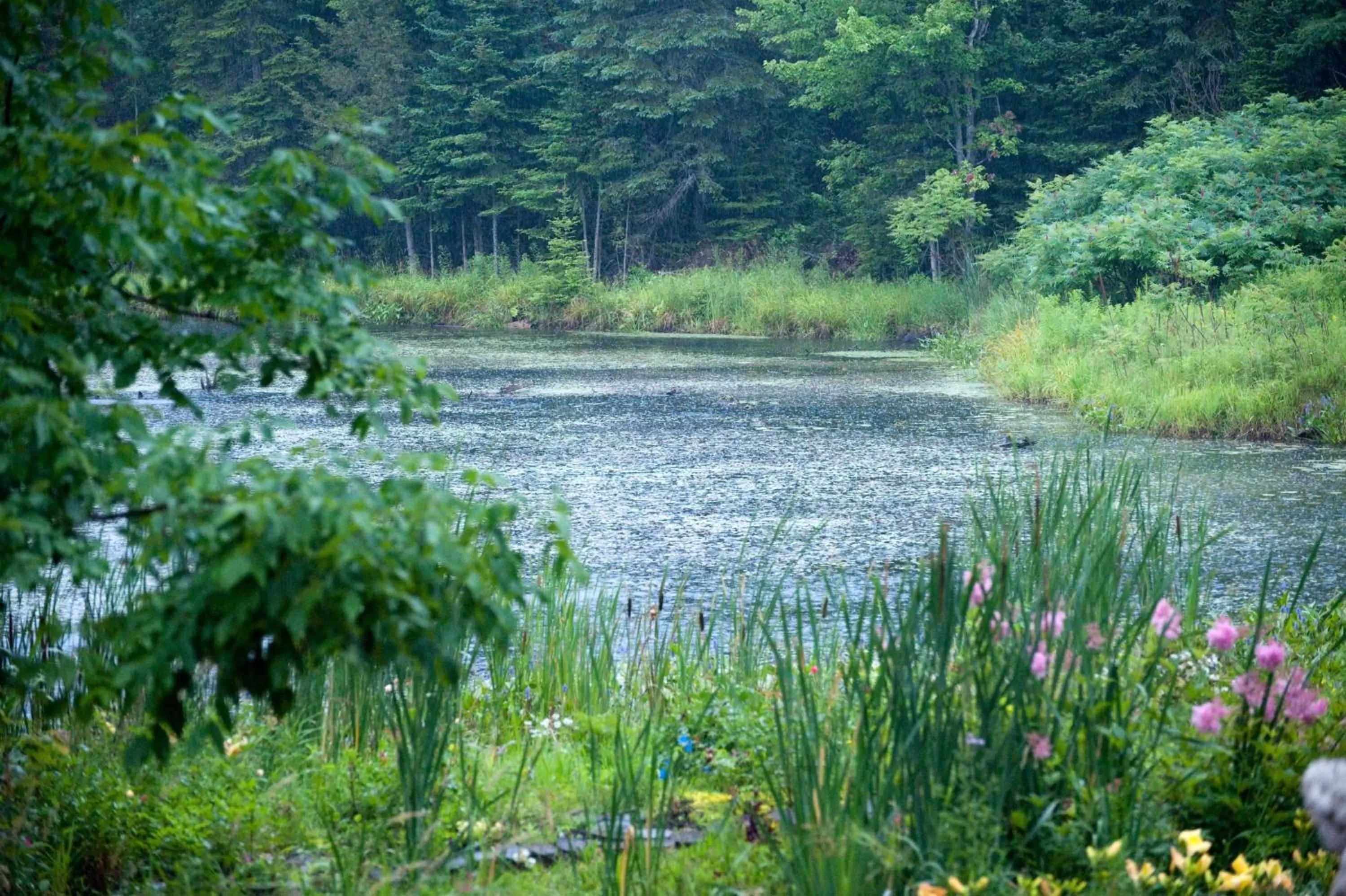 Garden in Shambhala Bed and Breakfast