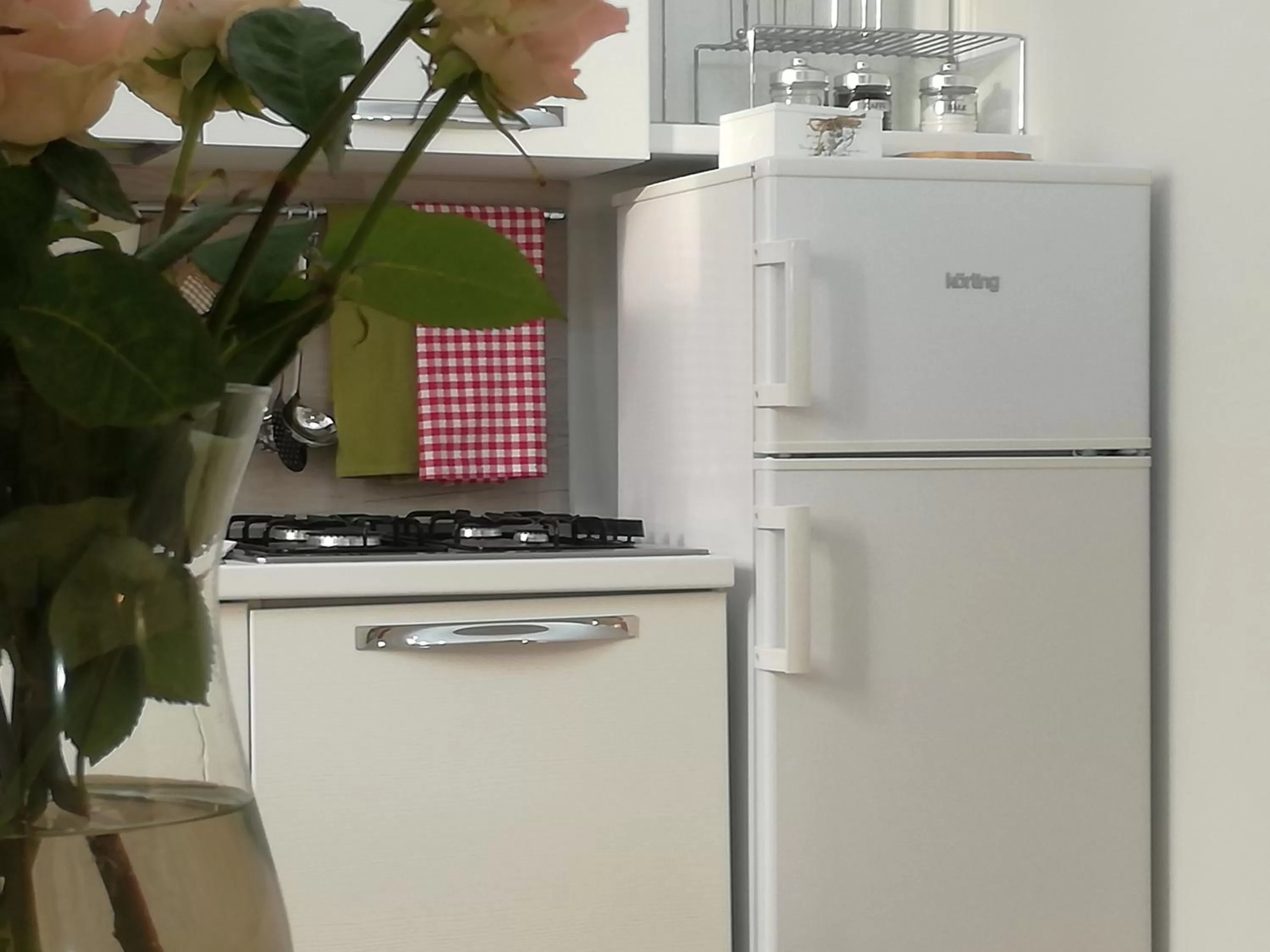 Day, Kitchen/Kitchenette in Casa del Corso