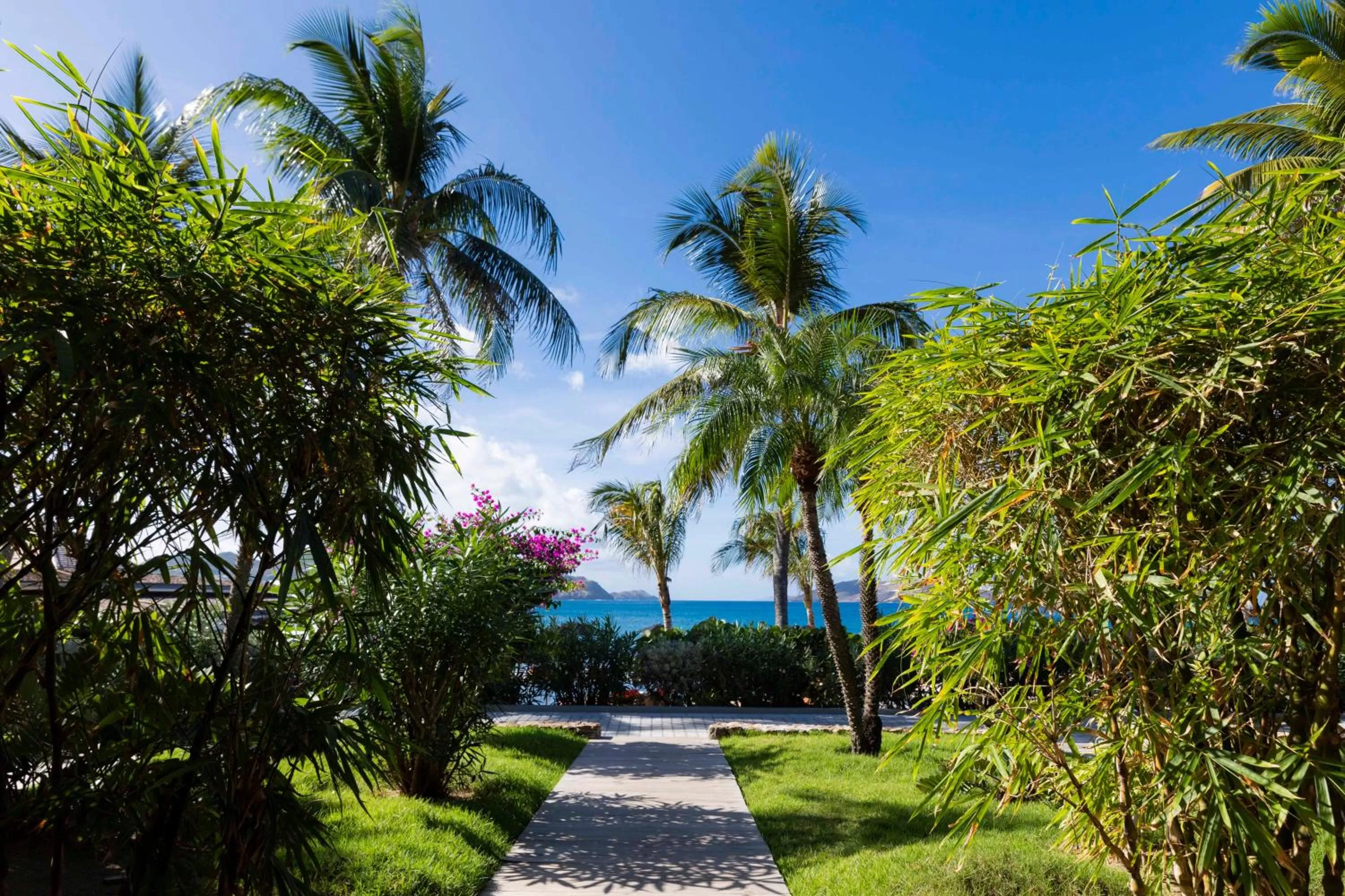 Garden in Hotel Christopher Saint Barth