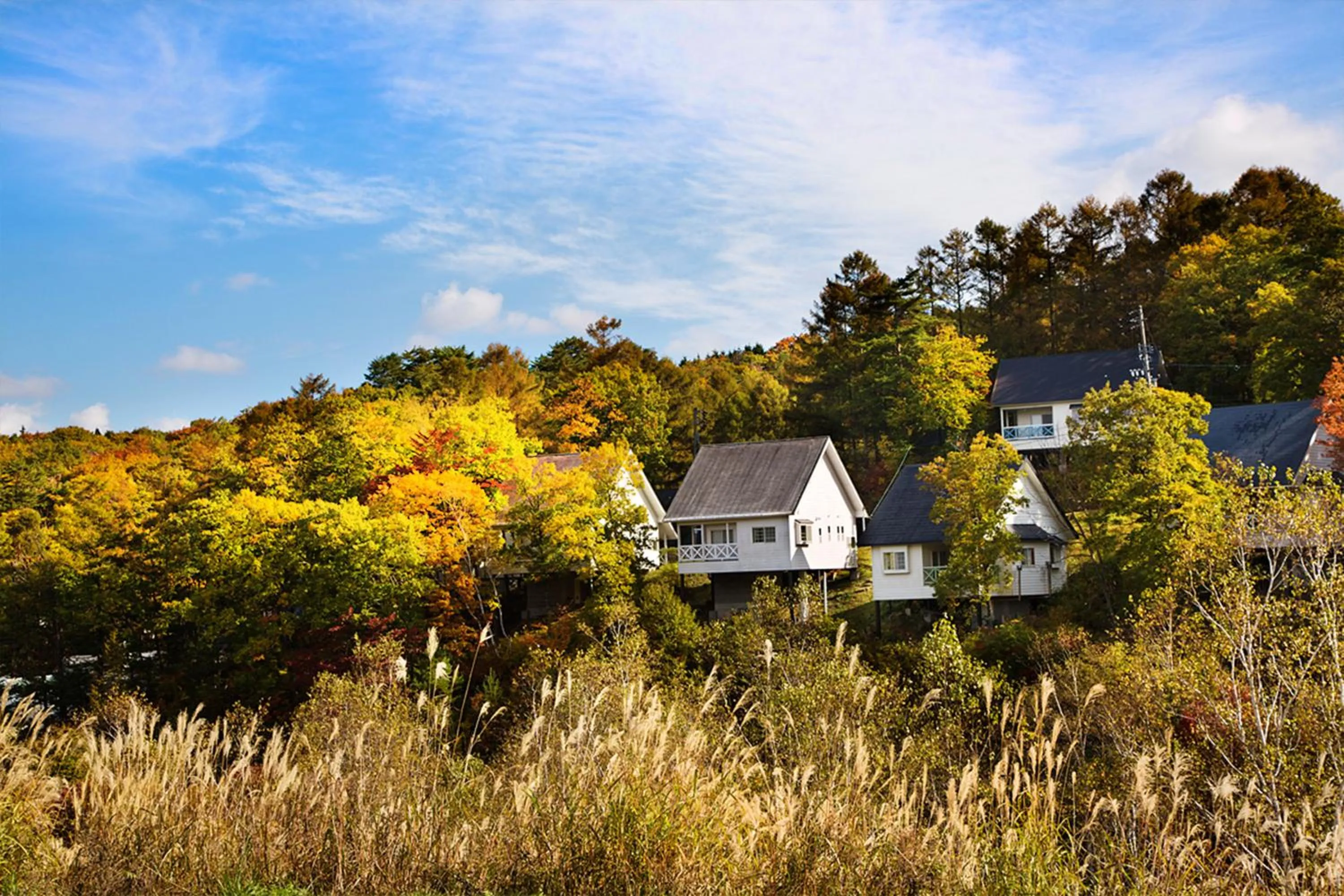 Bird's eye view in Resort Villa Takayama