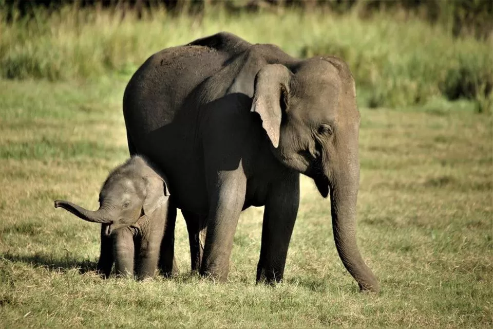 Activities in Lake Bliss