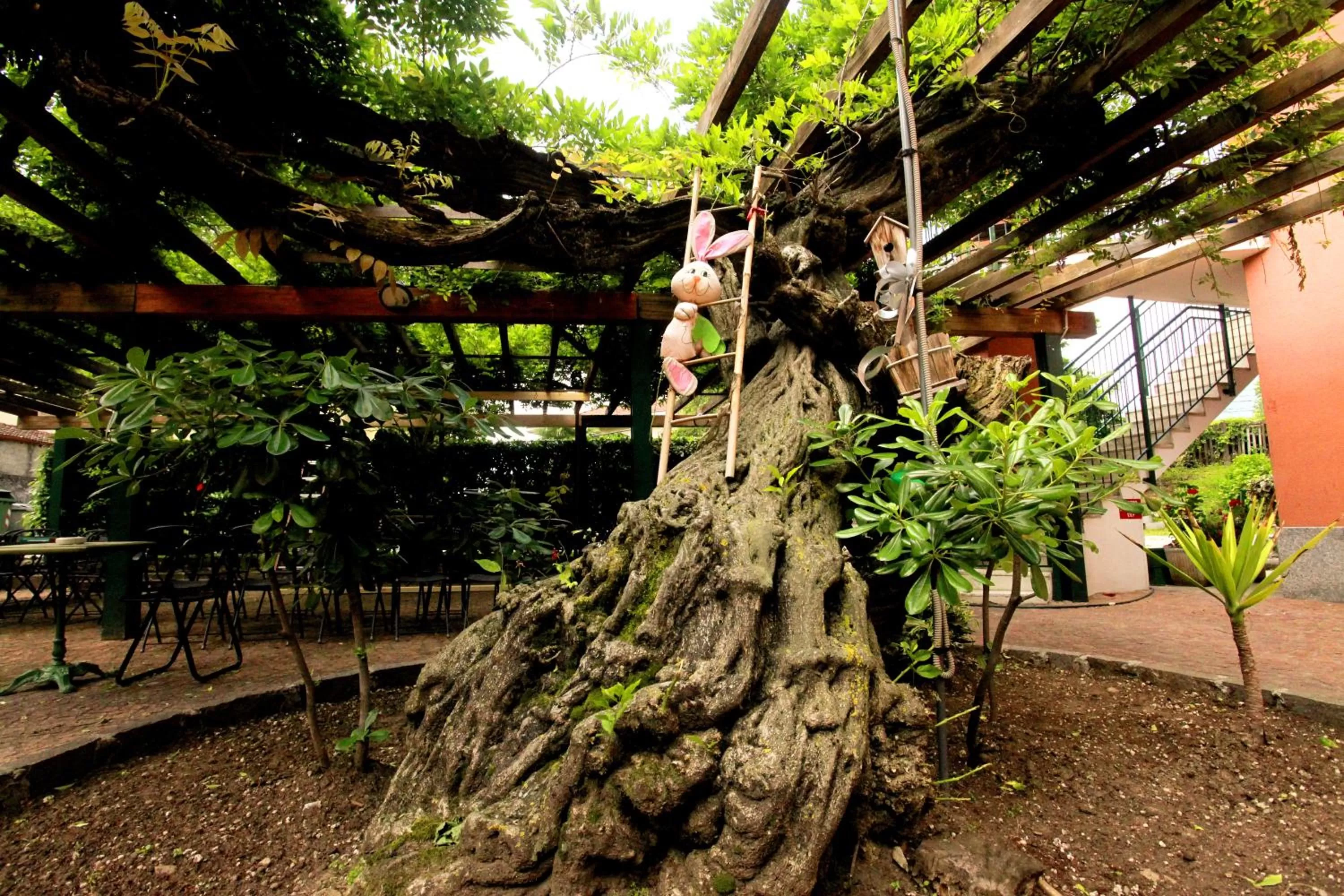 Apartment Lake Maggiore - ITALIA