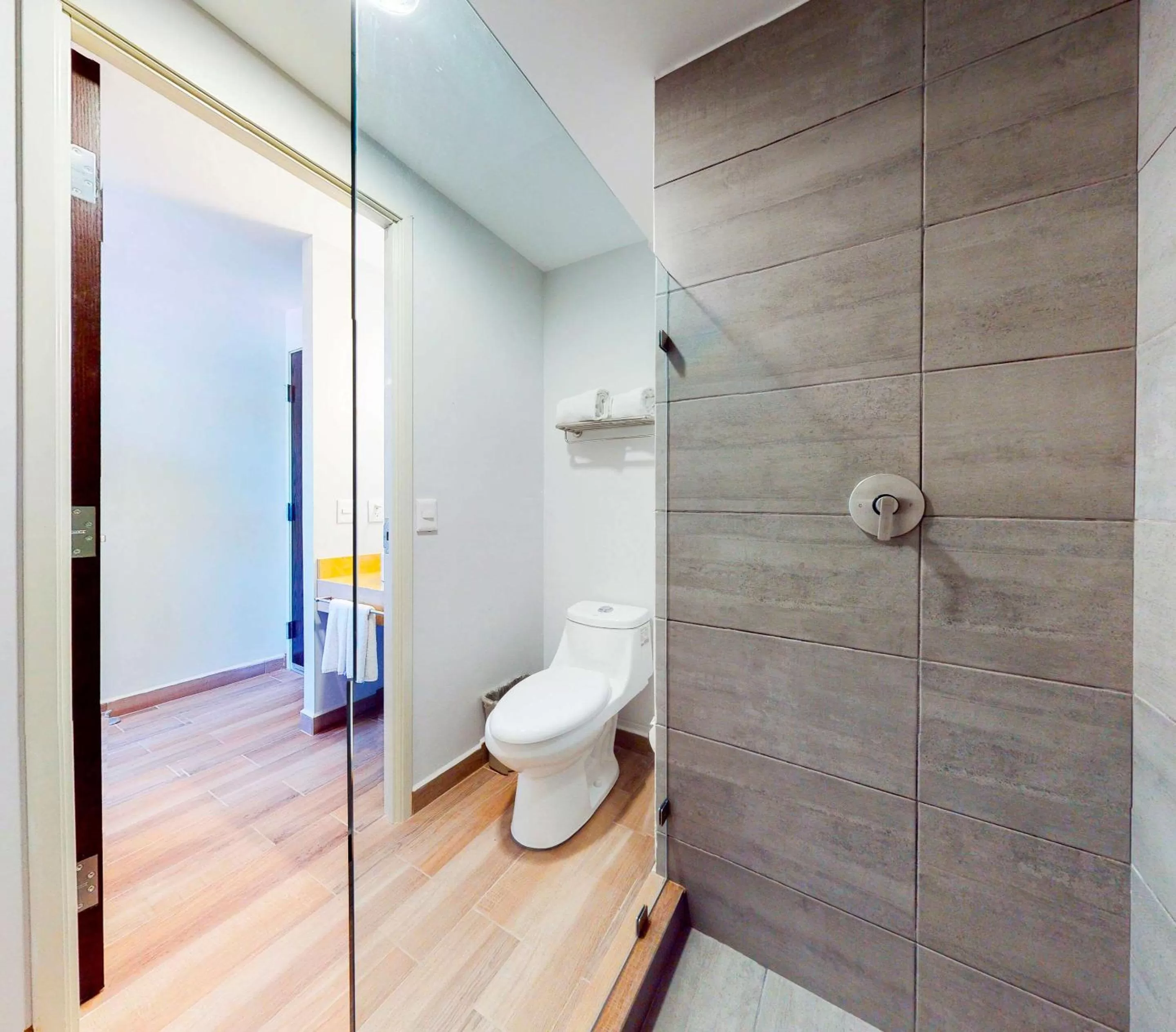 Toilet in Sleep Inn Queretaro