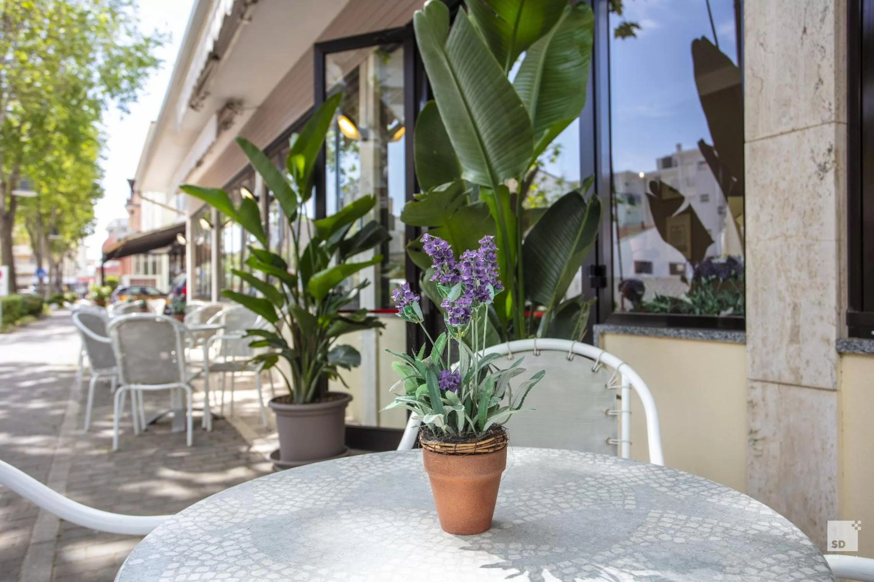 Decorative detail in Hotel Fattori Mare
