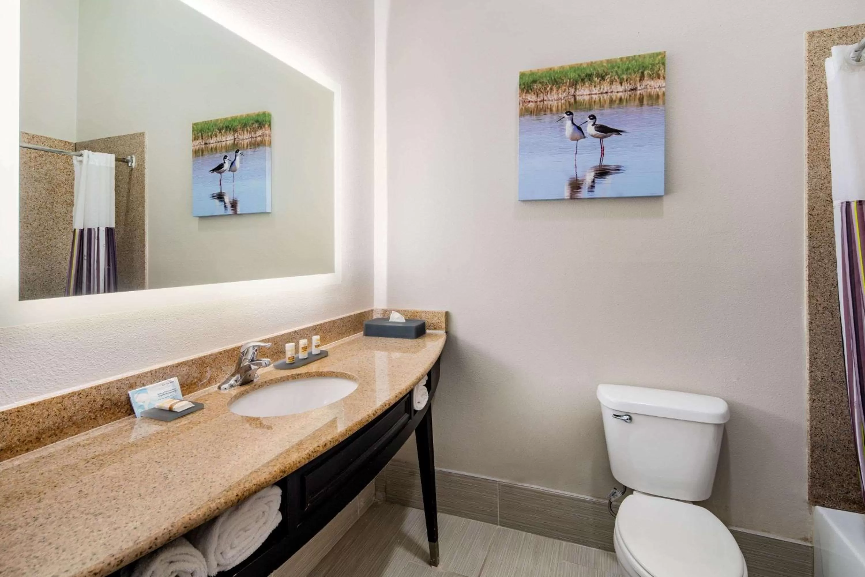 Bathroom in La Quinta by Wyndham Alamo-McAllen East