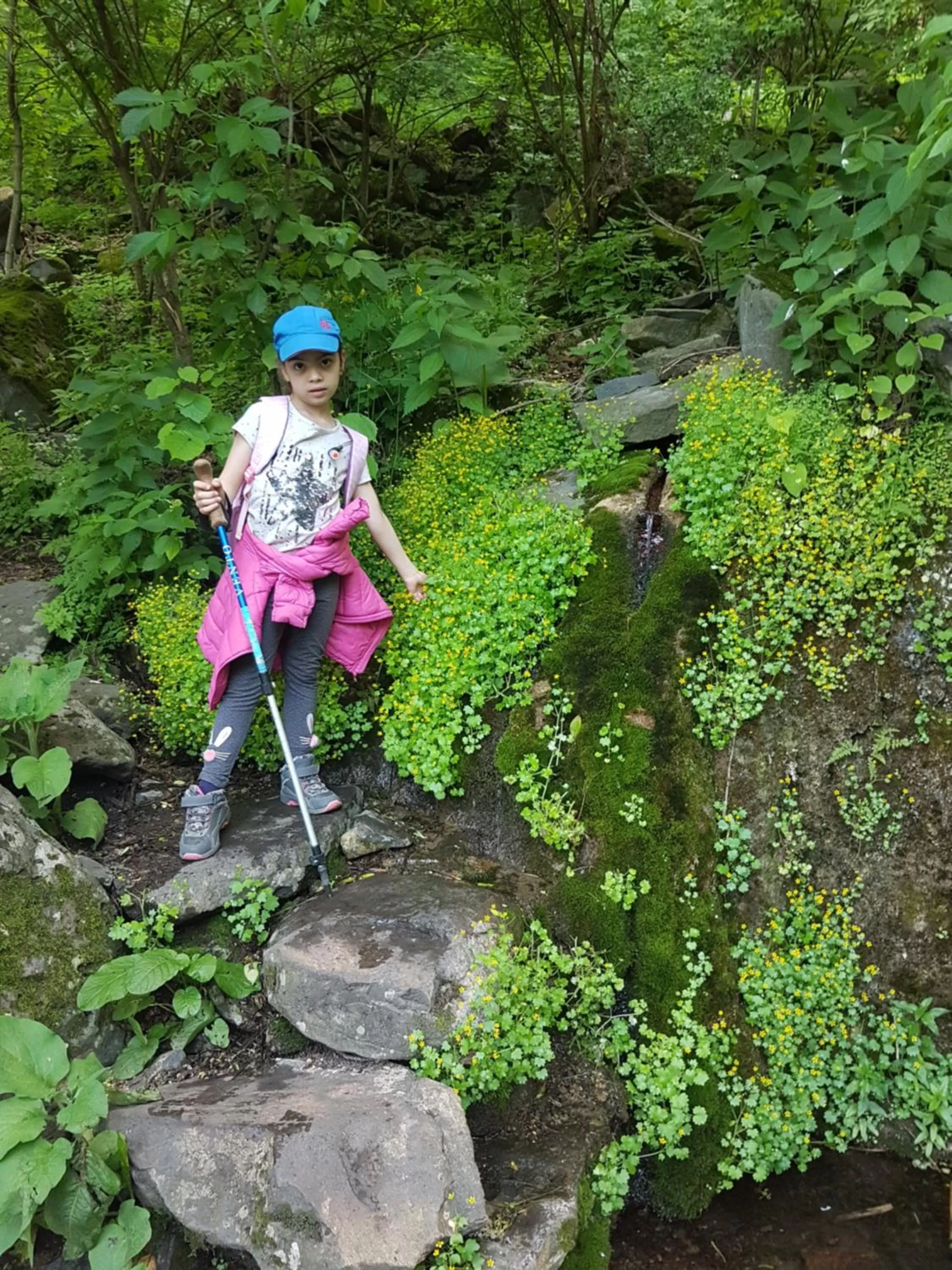 Ruzanna's Bed & Breakfast